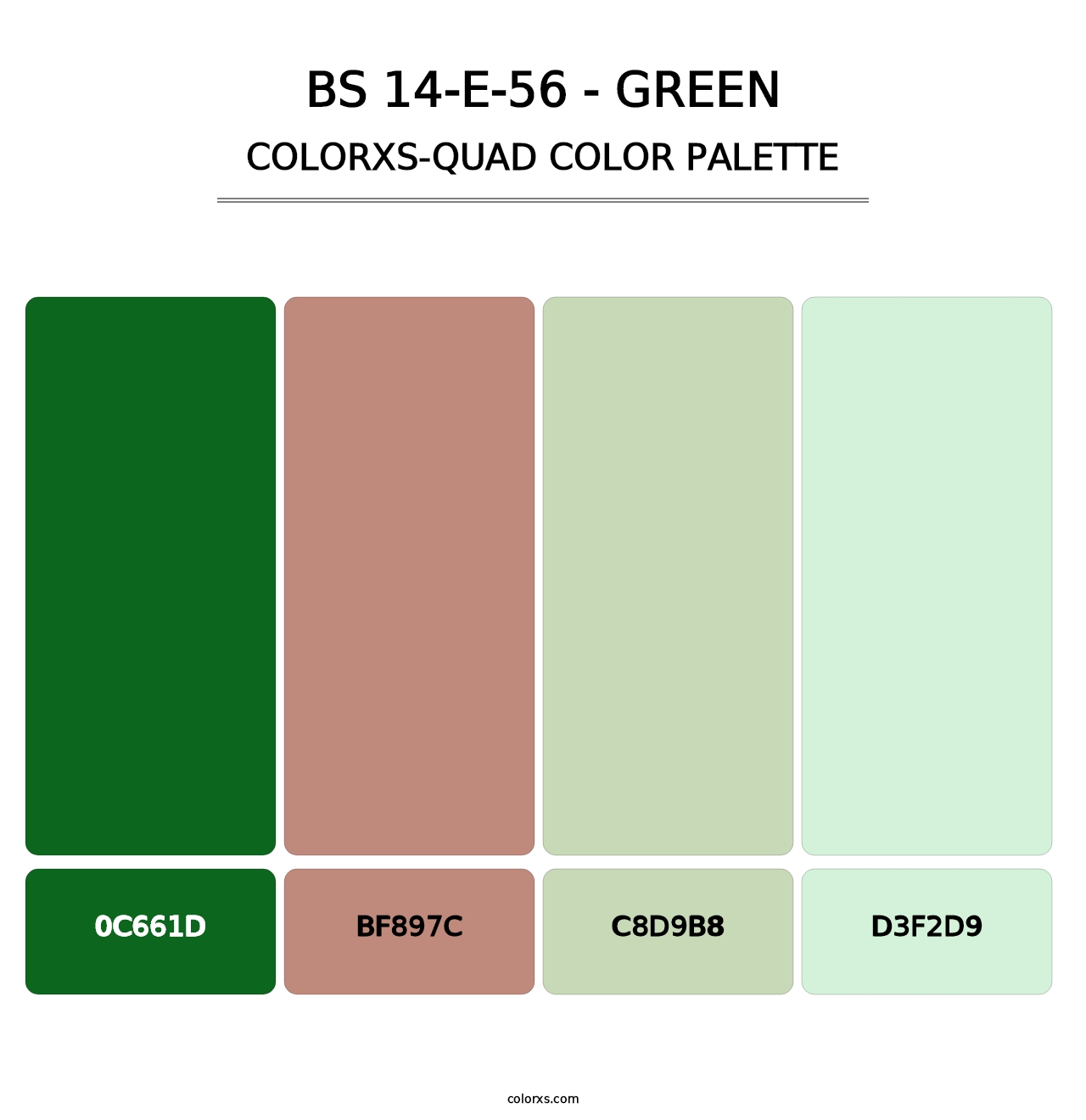 BS 14-E-56 - Green - Colorxs Quad Palette