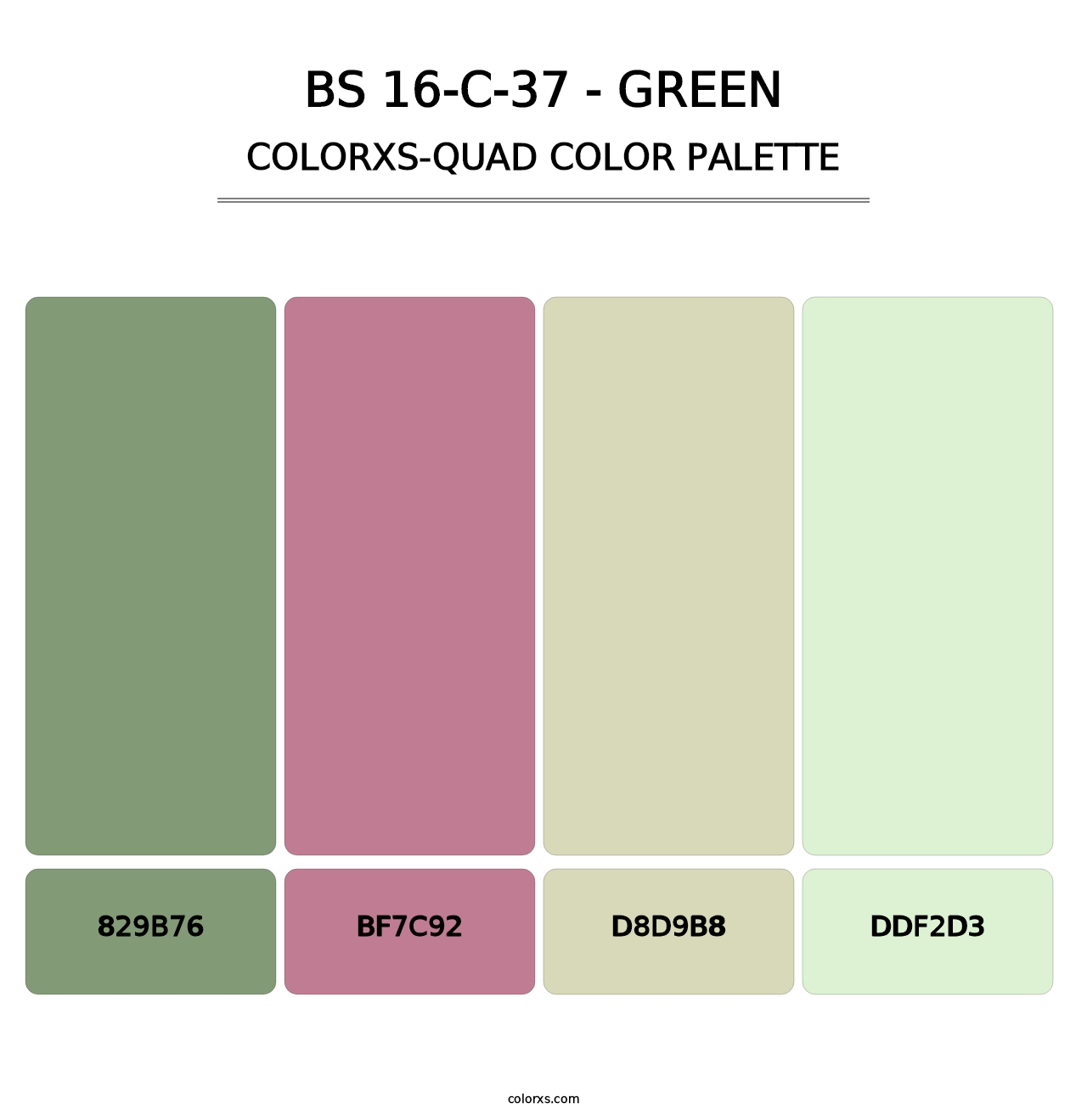 BS 16-C-37 - Green - Colorxs Quad Palette