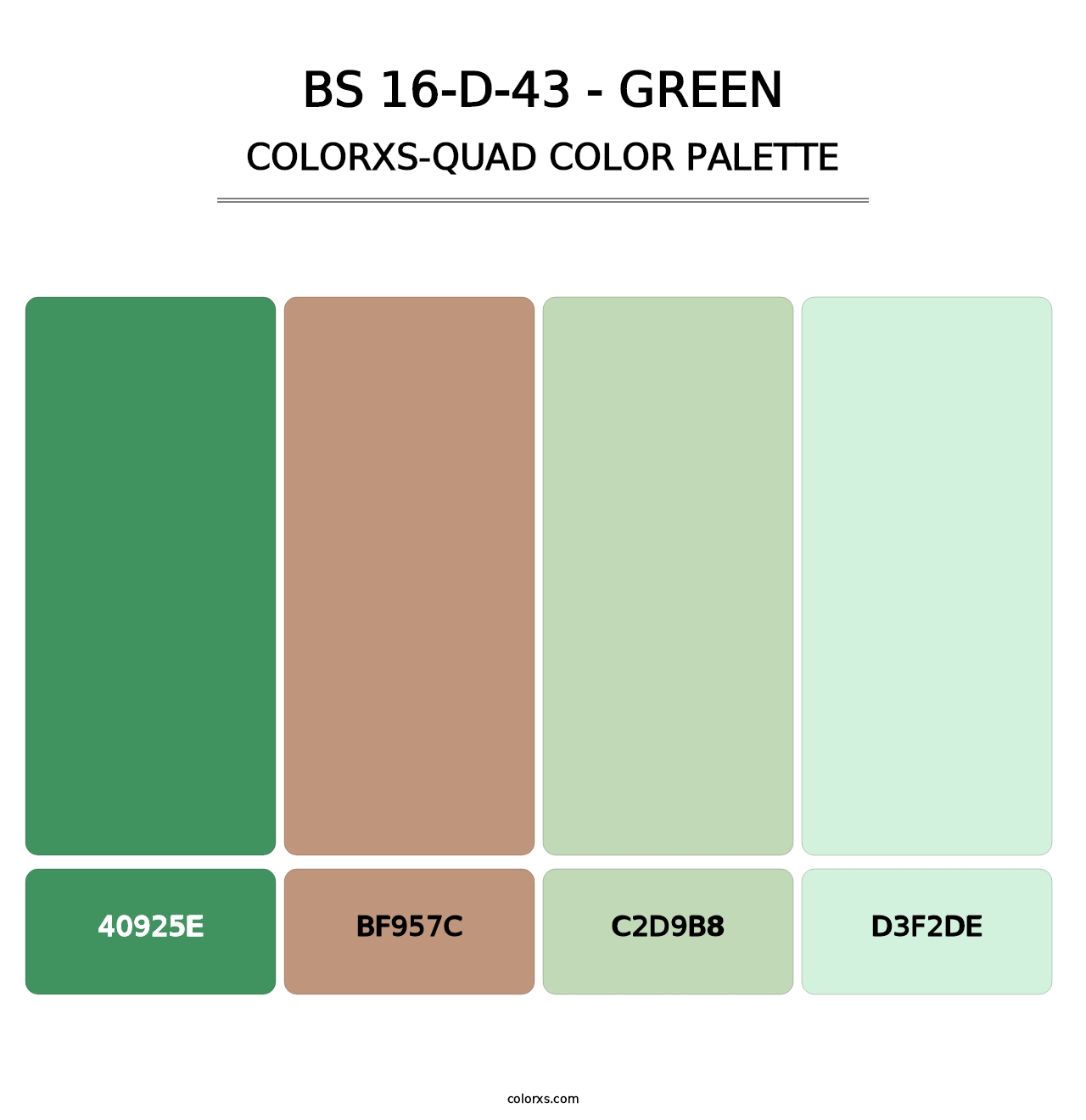 BS 16-D-43 - Green - Colorxs Quad Palette