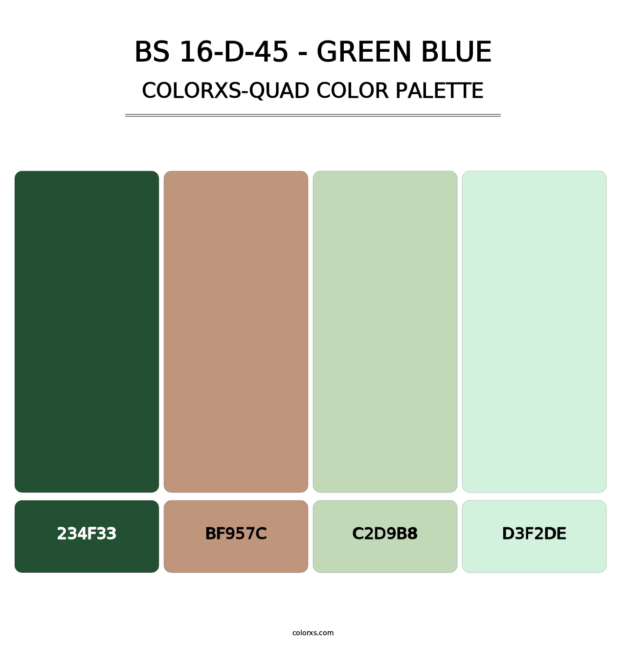 BS 16-D-45 - Green Blue - Colorxs Quad Palette