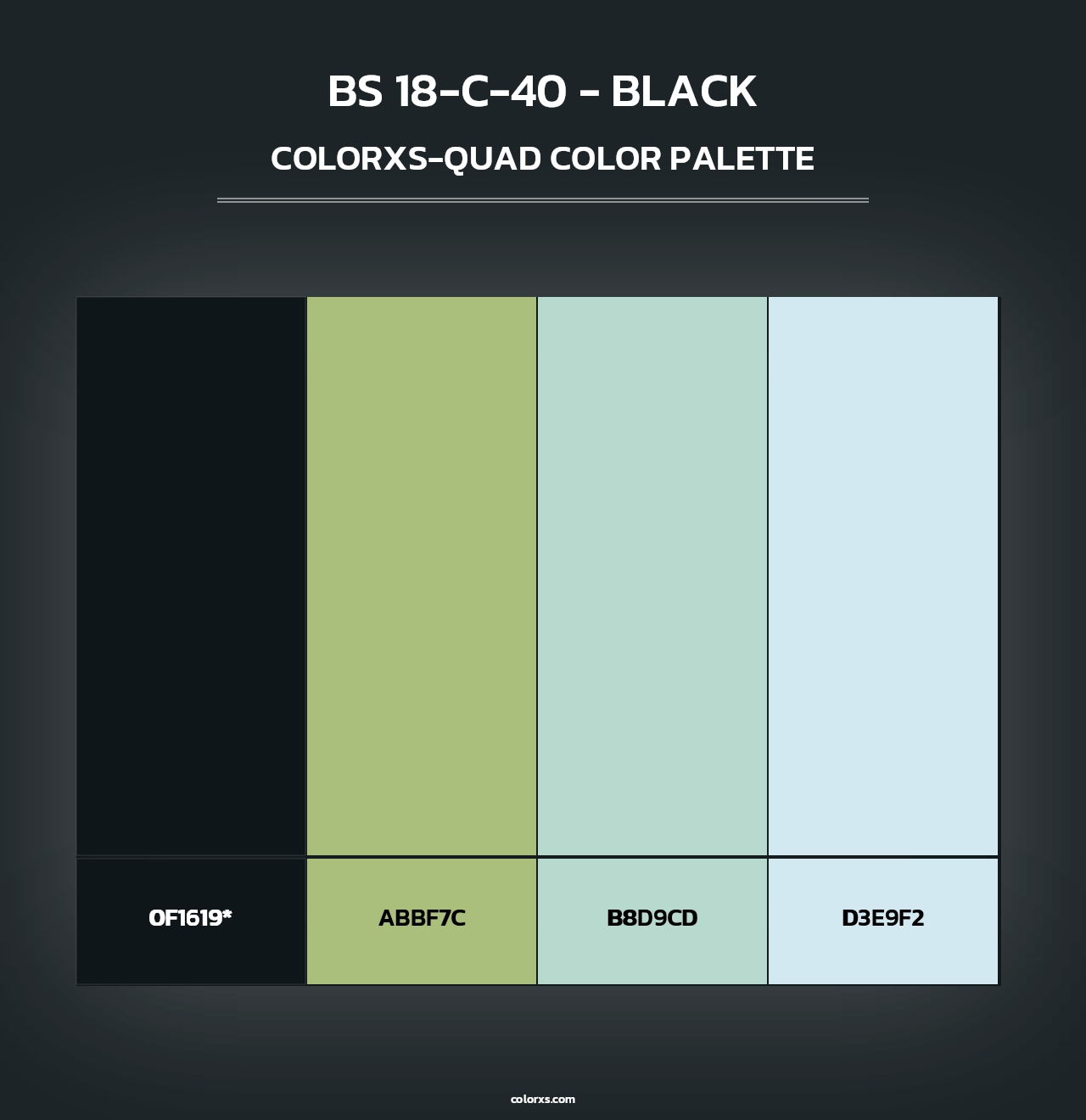 BS 18-C-40 - Black - Colorxs Quad Palette