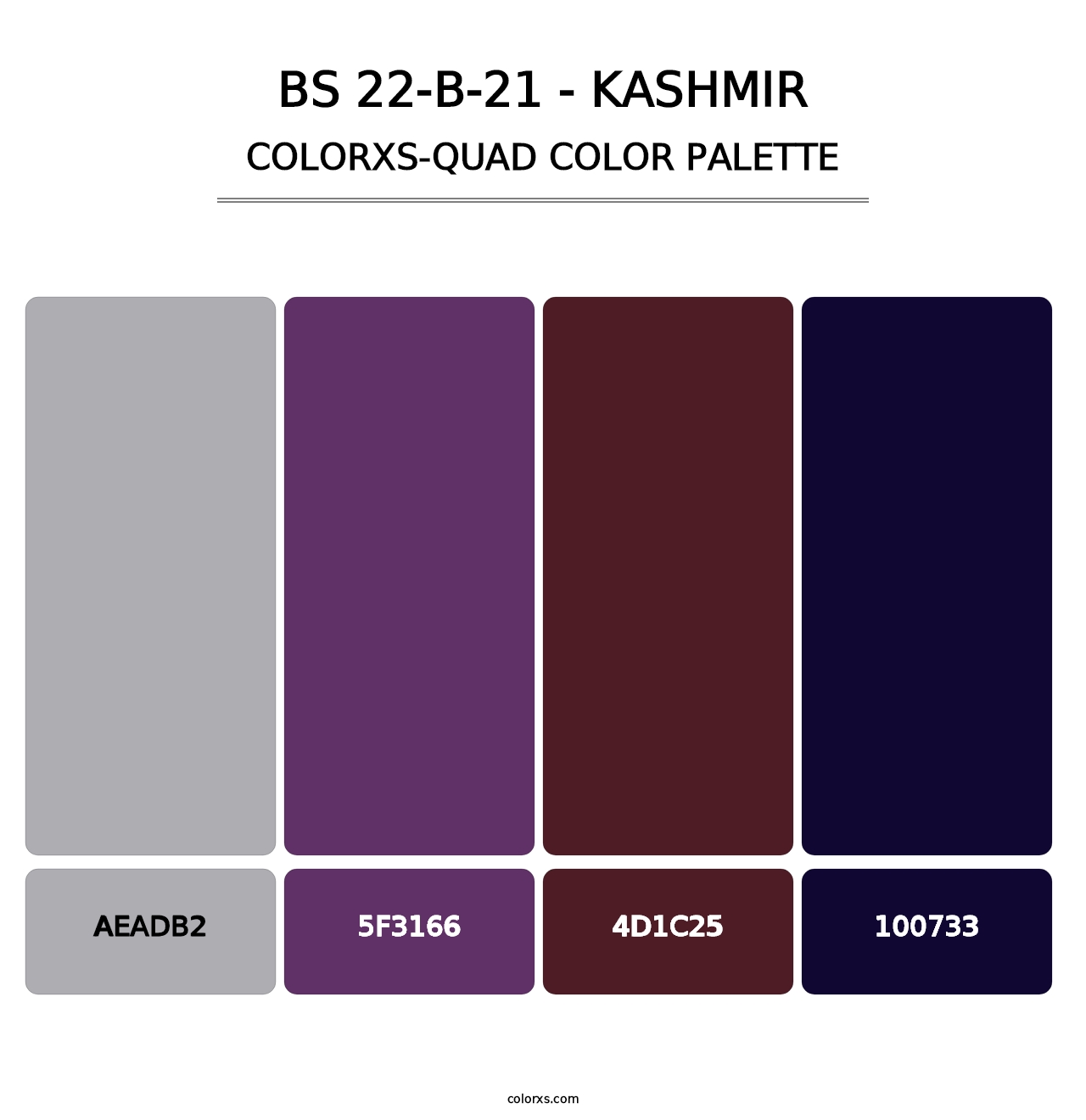 BS 22-B-21 - Kashmir - Colorxs Quad Palette