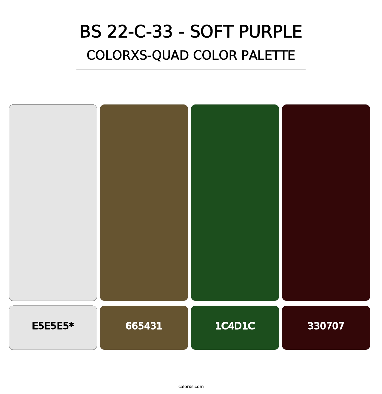 BS 22-C-33 - Soft Purple - Colorxs Quad Palette