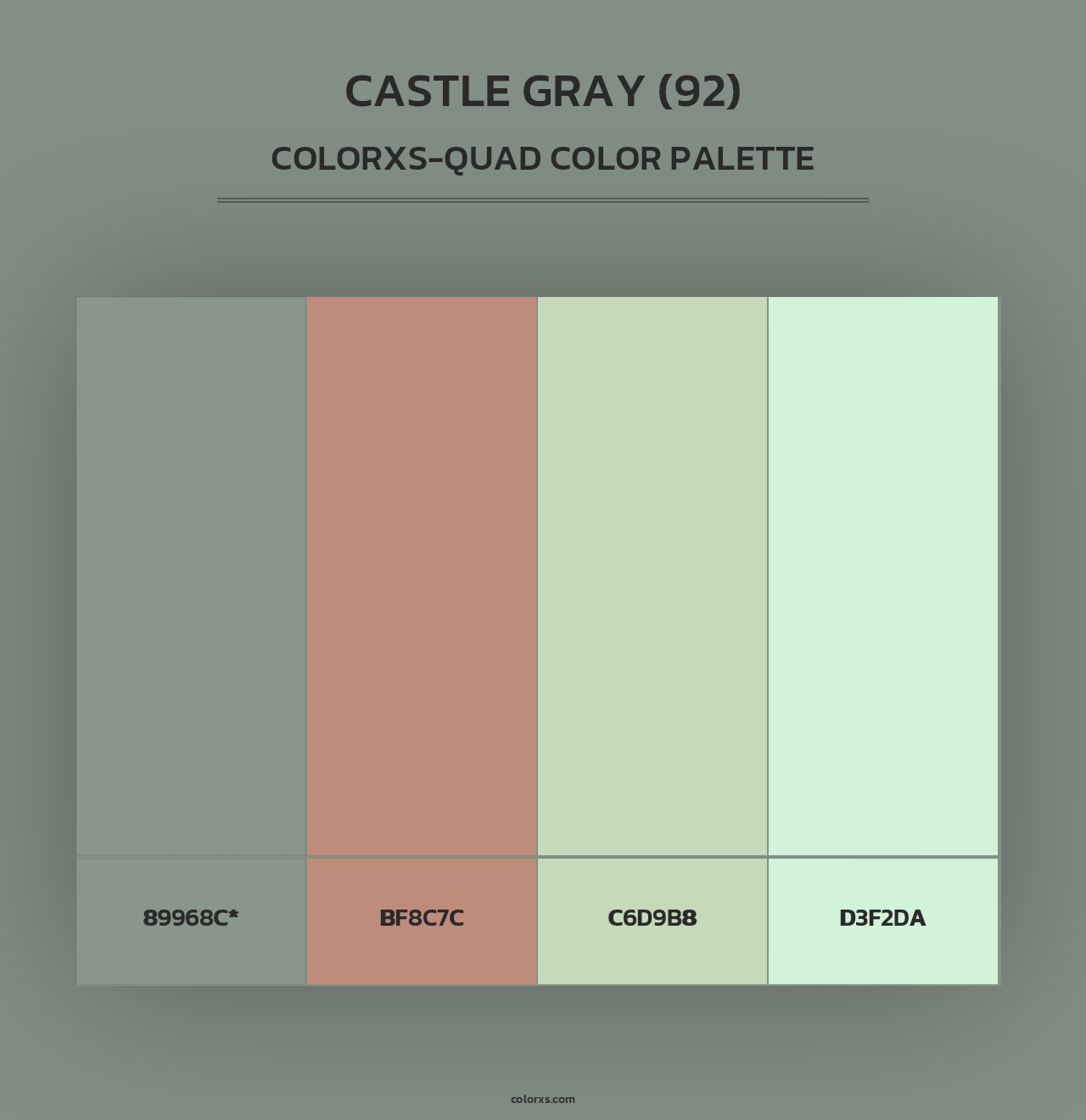 Castle Gray (92) - Colorxs Quad Palette