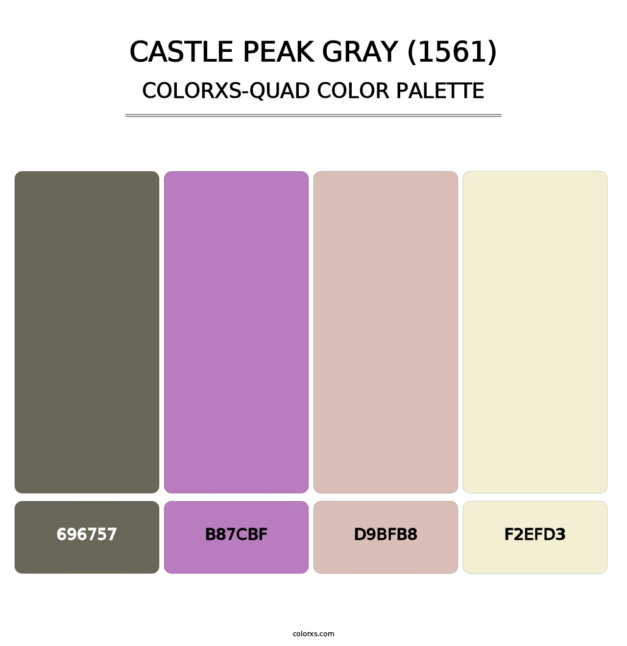 Castle Peak Gray (1561) - Colorxs Quad Palette