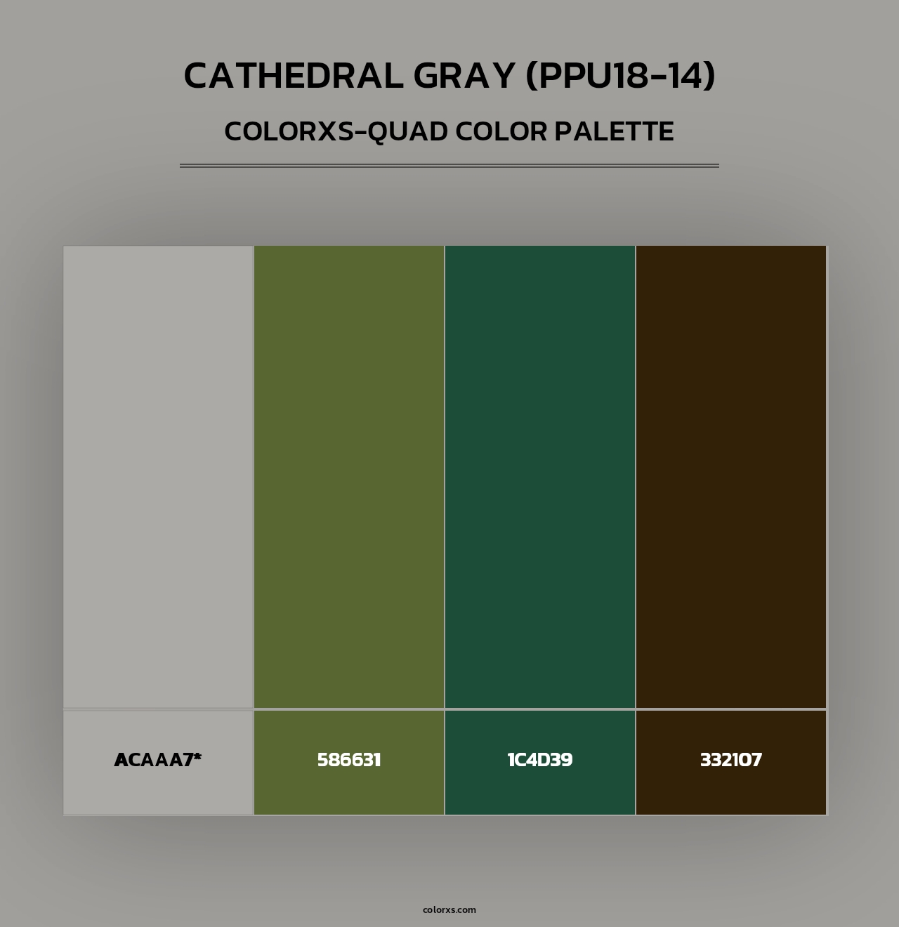 Cathedral Gray (PPU18-14) - Colorxs Quad Palette