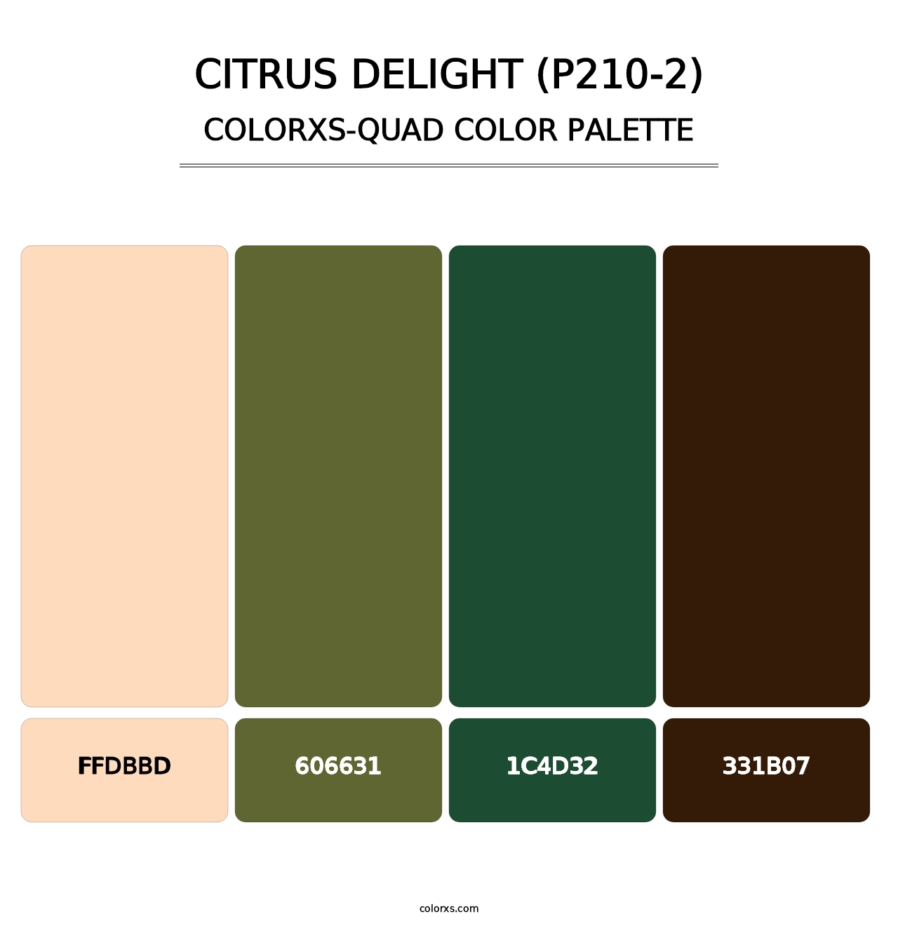 Citrus Delight (P210-2) - Colorxs Quad Palette
