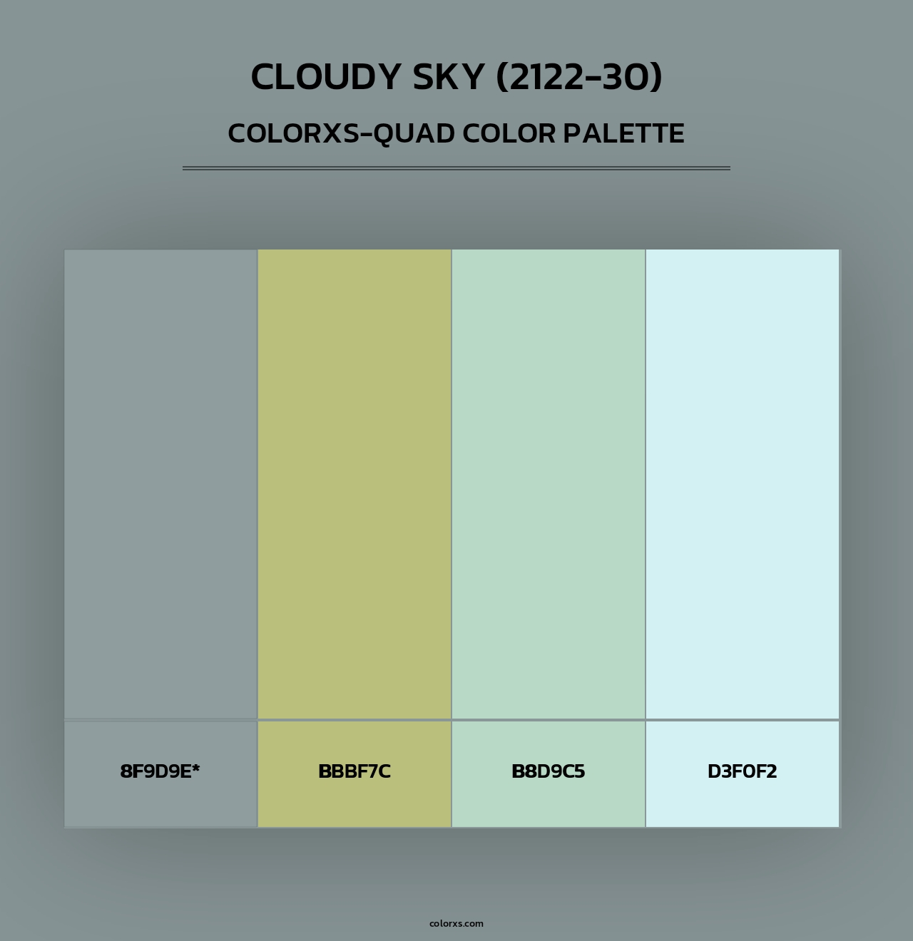 Cloudy Sky (2122-30) - Colorxs Quad Palette