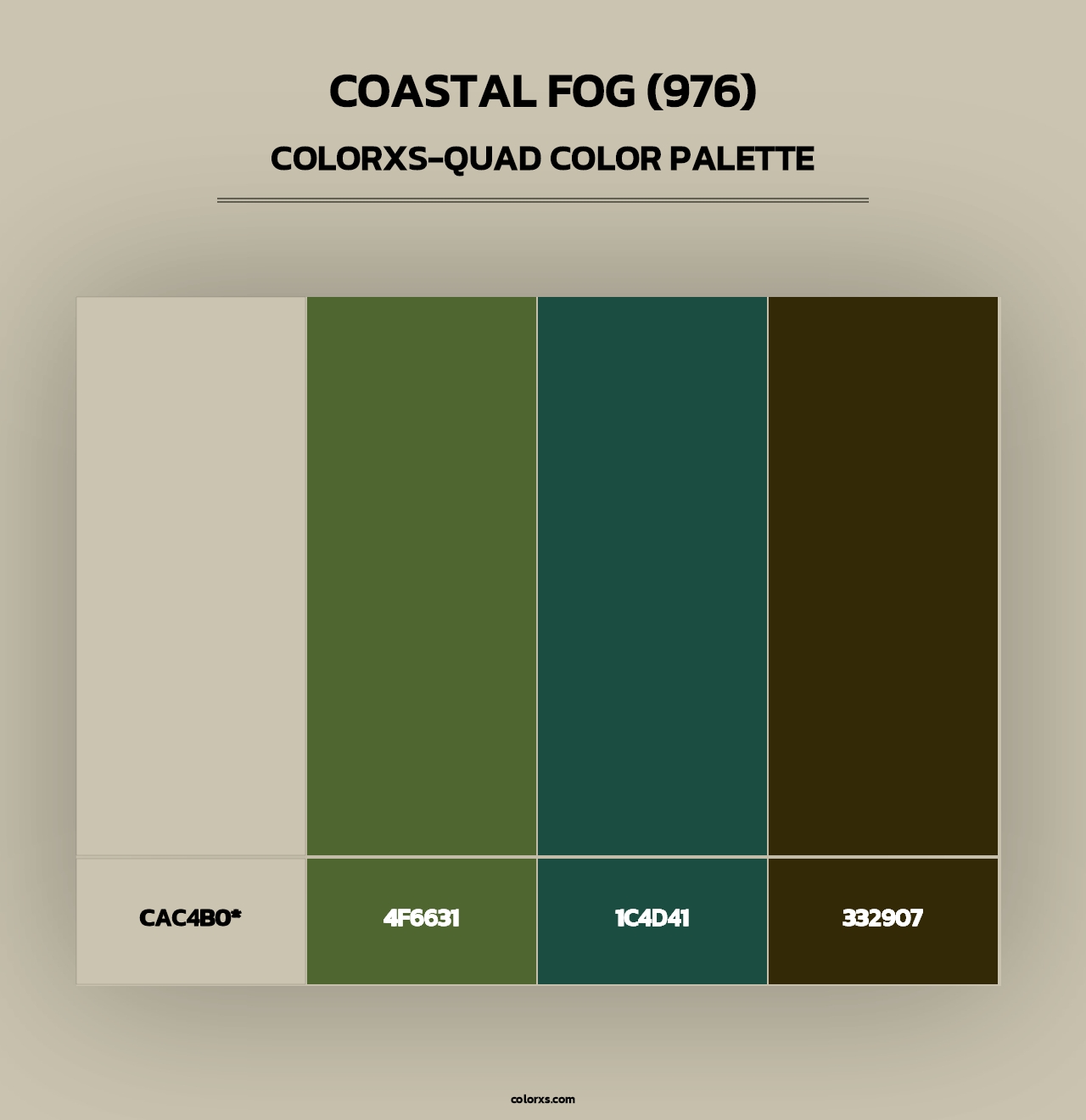 Coastal Fog (976) - Colorxs Quad Palette