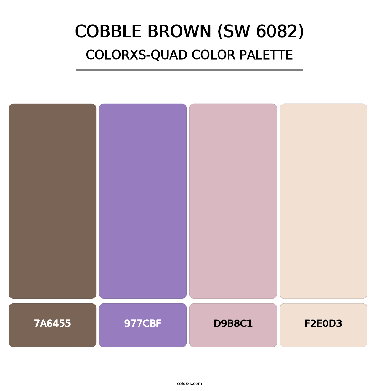 Cobble Brown (SW 6082) - Colorxs Quad Palette