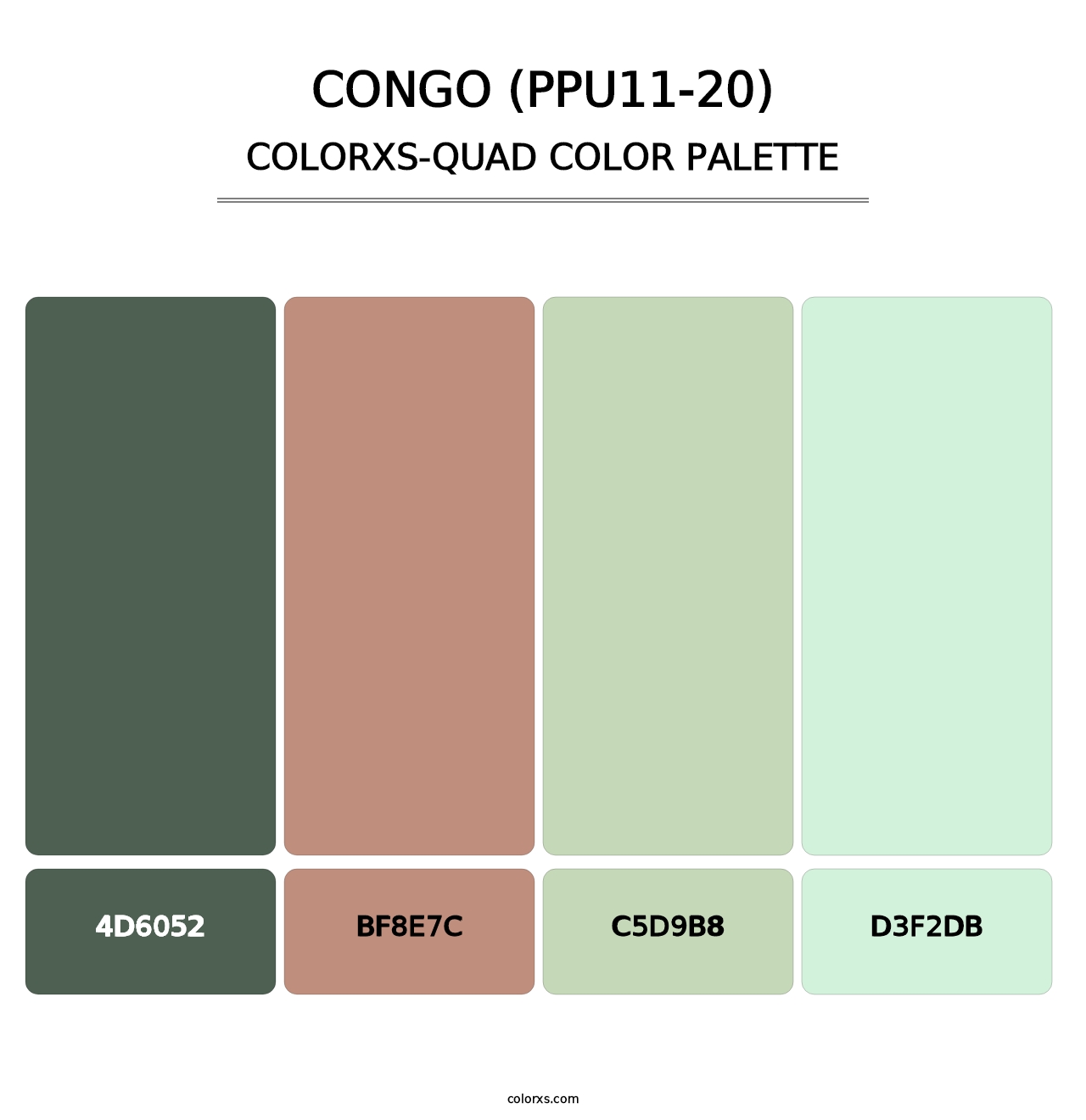 Congo (PPU11-20) - Colorxs Quad Palette