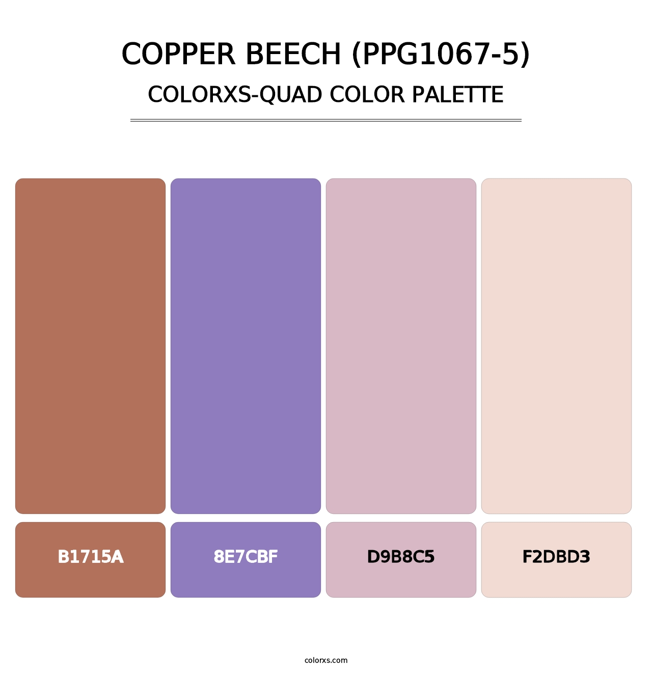 Copper Beech (PPG1067-5) - Colorxs Quad Palette