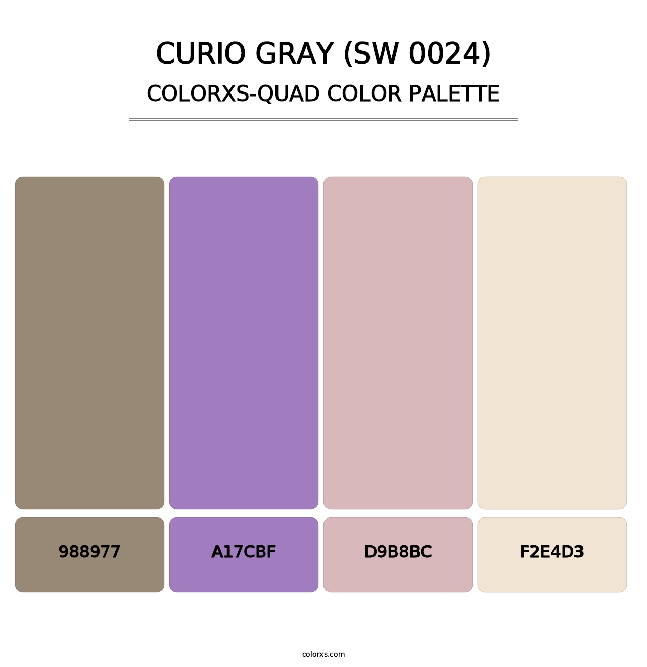 Curio Gray (SW 0024) - Colorxs Quad Palette