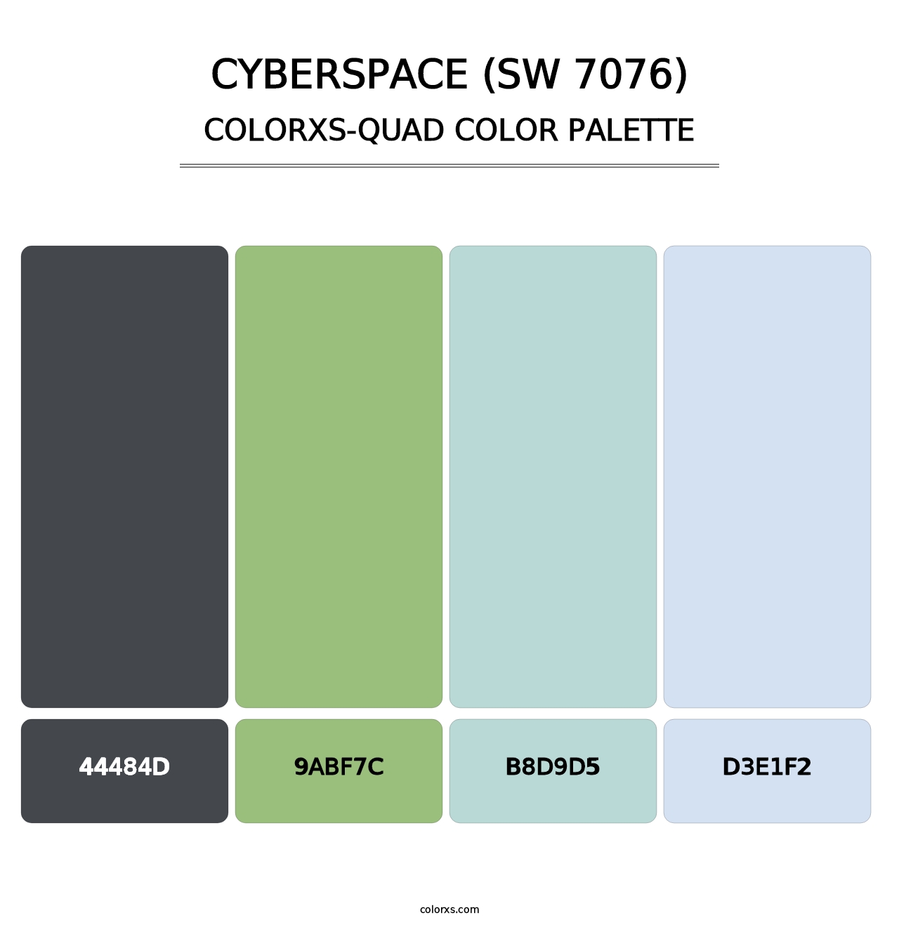 Cyberspace (SW 7076) - Colorxs Quad Palette
