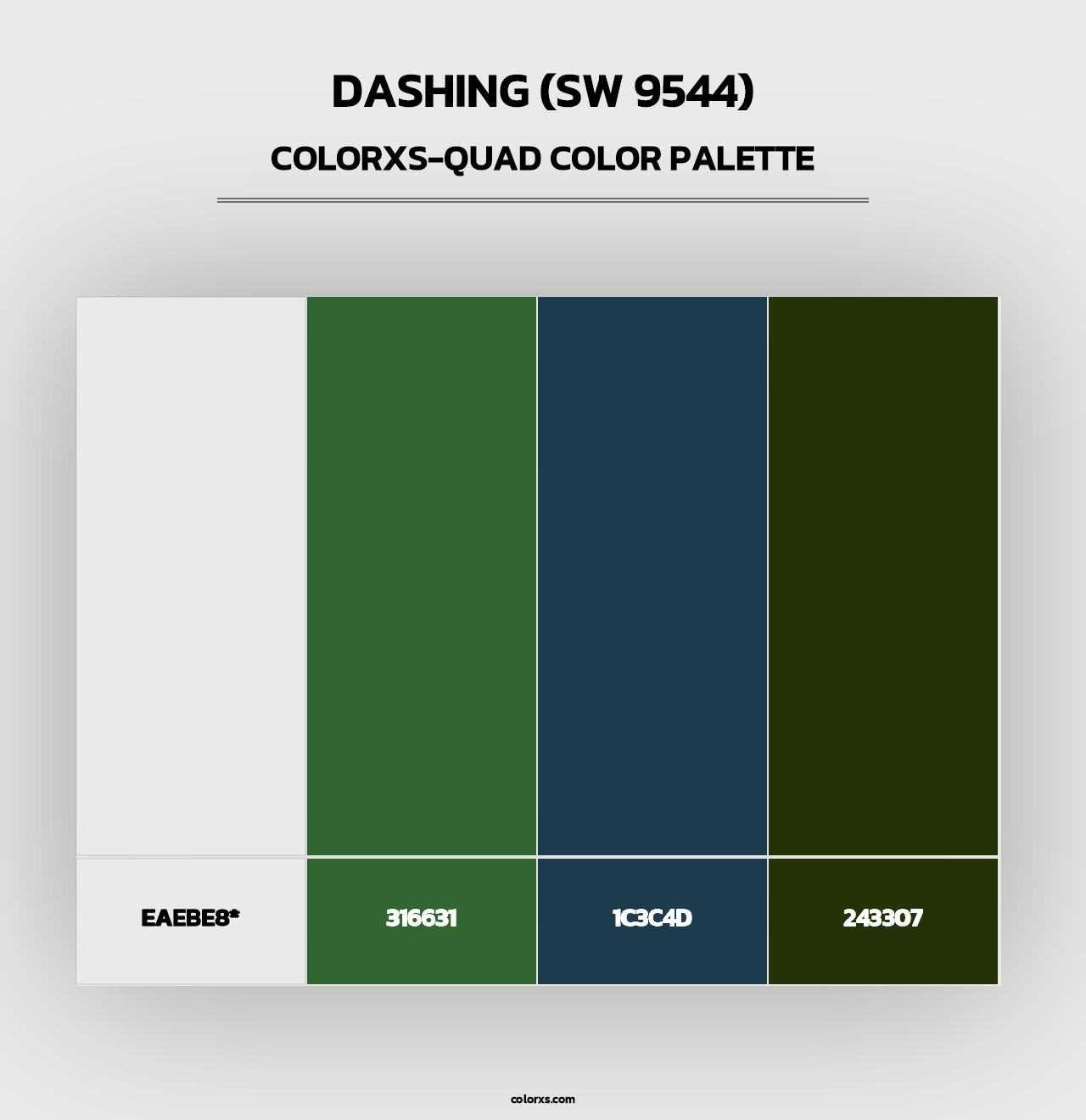 Dashing (SW 9544) - Colorxs Quad Palette