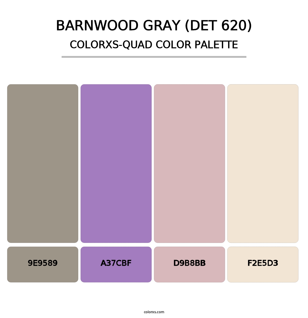Barnwood Gray (DET 620) - Colorxs Quad Palette