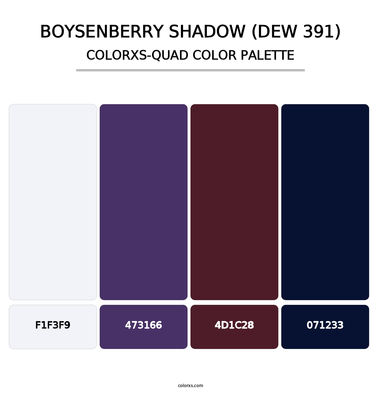 Boysenberry Shadow (DEW 391) - Colorxs Quad Palette