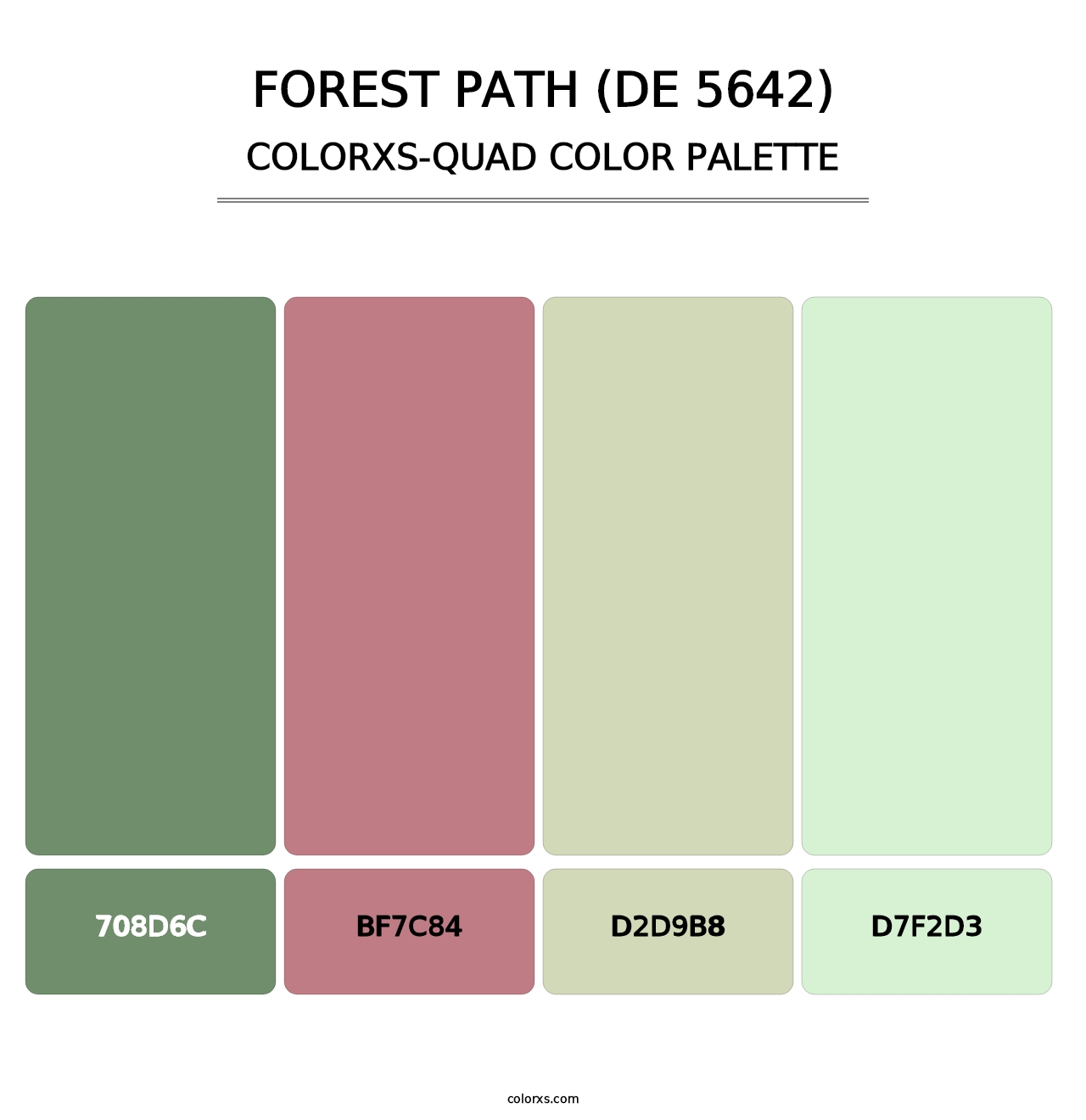 Forest Path (DE 5642) - Colorxs Quad Palette