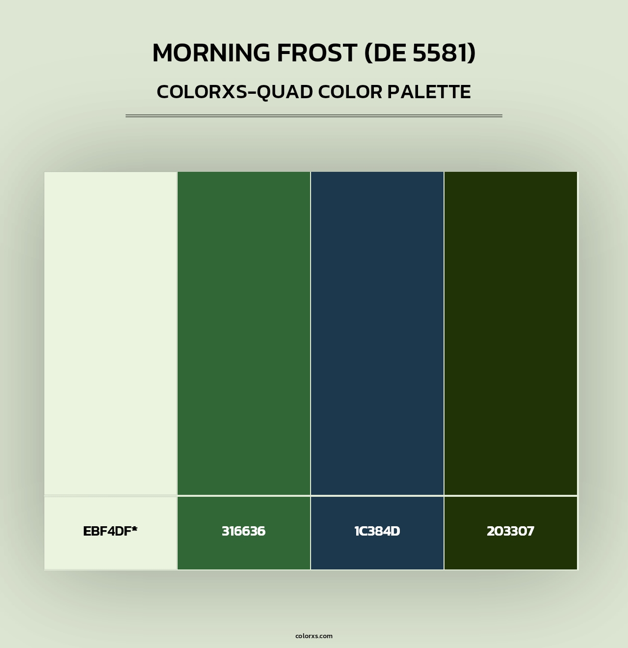 Morning Frost (DE 5581) - Colorxs Quad Palette