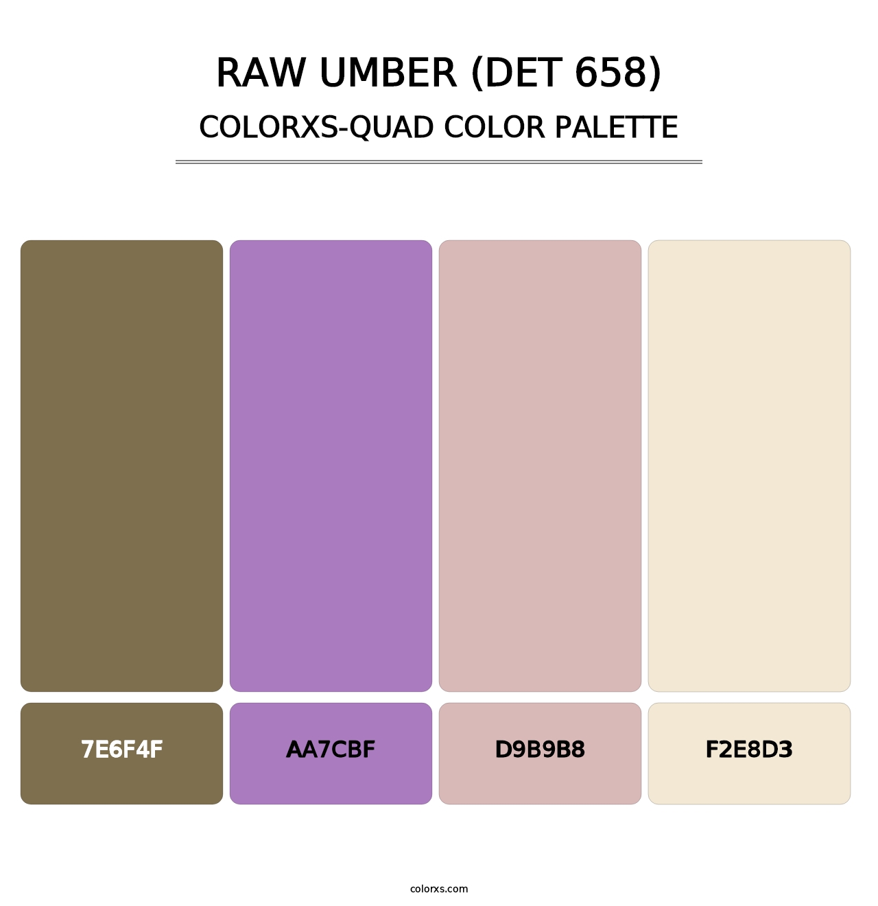 Raw Umber (DET 658) - Colorxs Quad Palette
