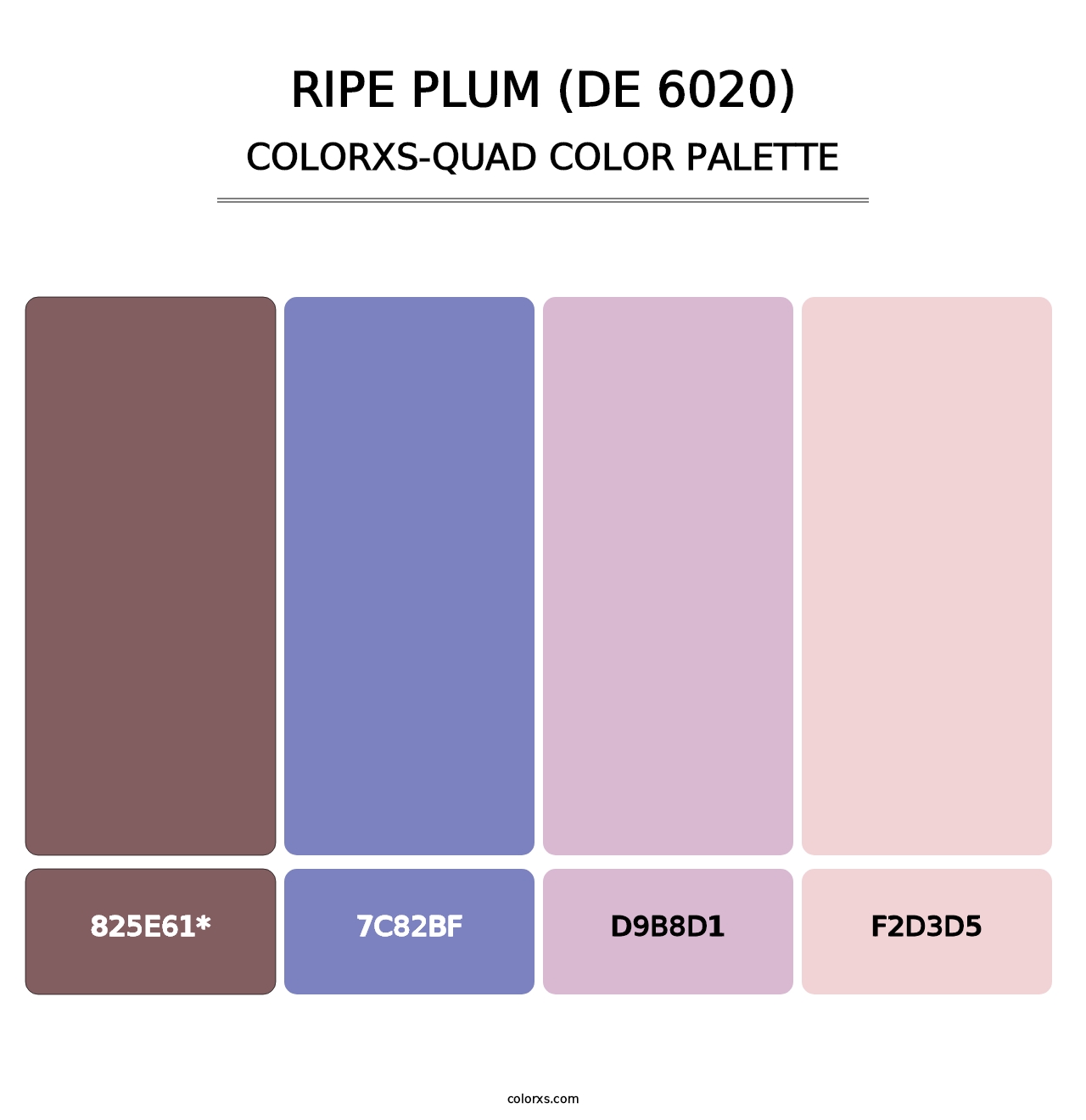 Ripe Plum (DE 6020) - Colorxs Quad Palette