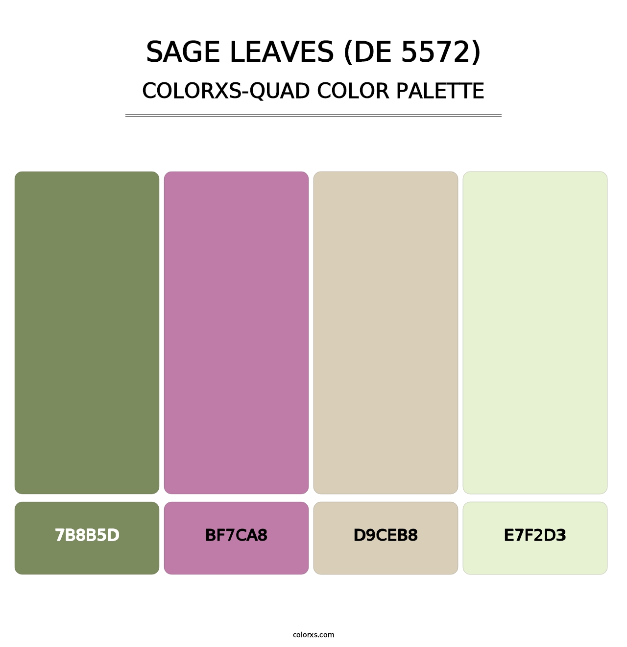 Sage Leaves (DE 5572) - Colorxs Quad Palette