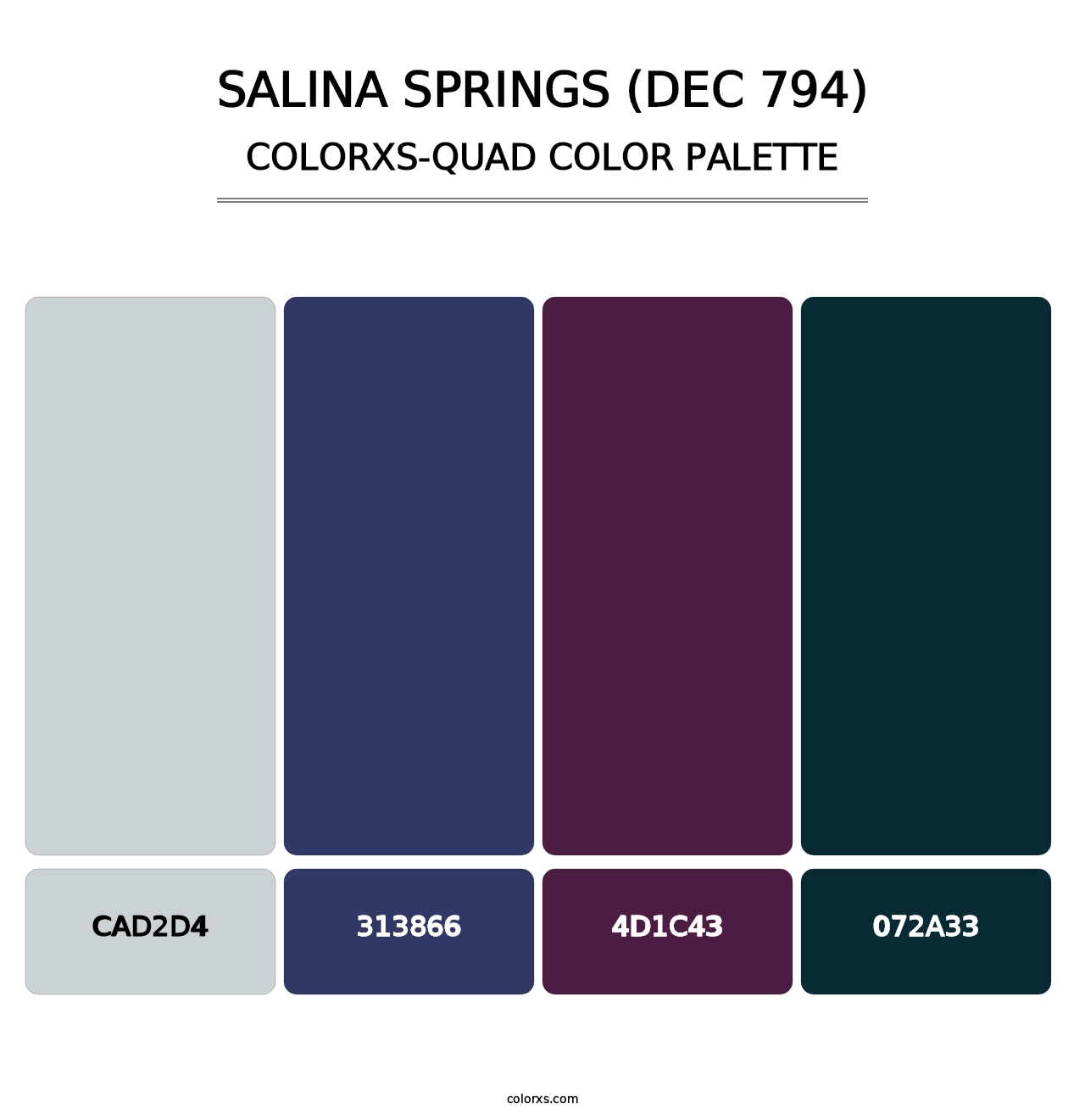 Salina Springs (DEC 794) - Colorxs Quad Palette