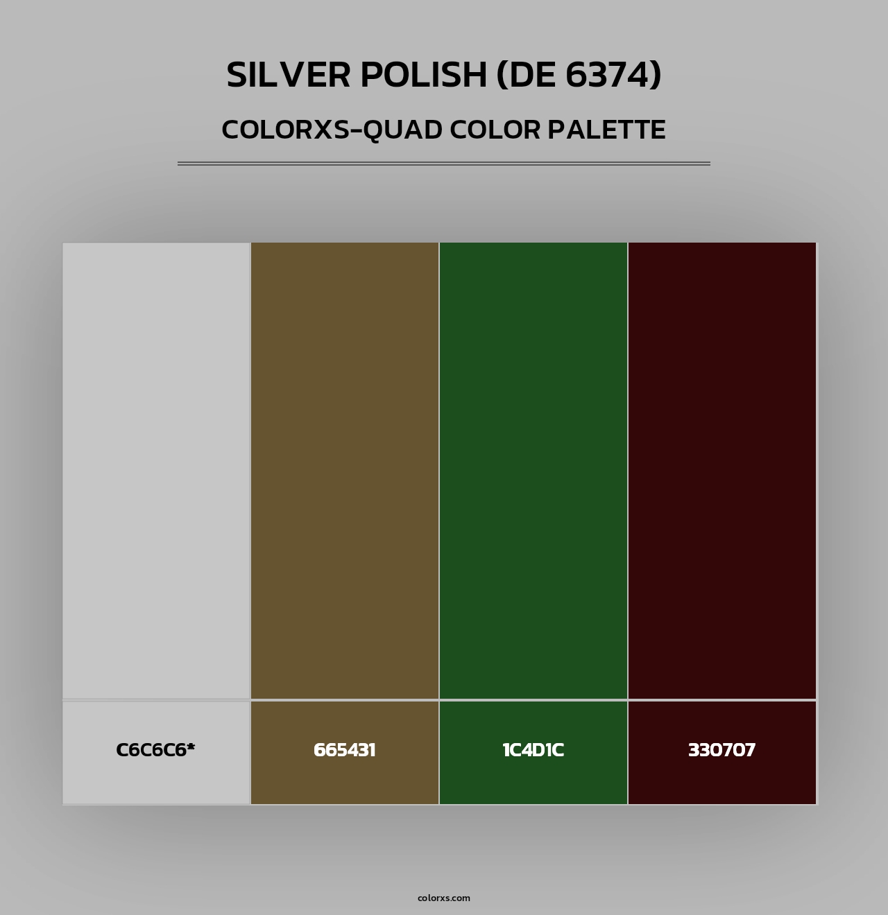 Silver Polish (DE 6374) - Colorxs Quad Palette