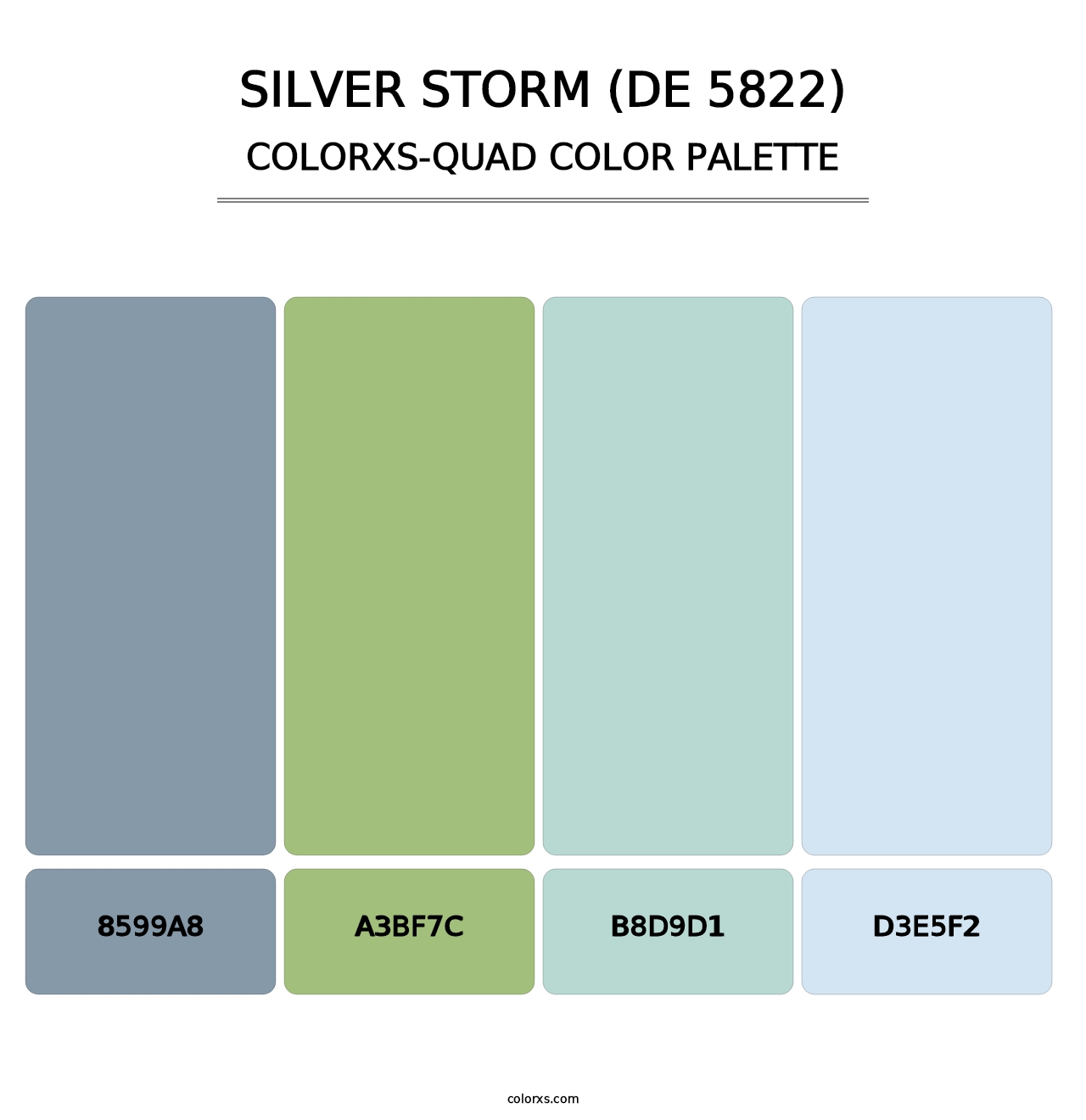 Silver Storm (DE 5822) - Colorxs Quad Palette