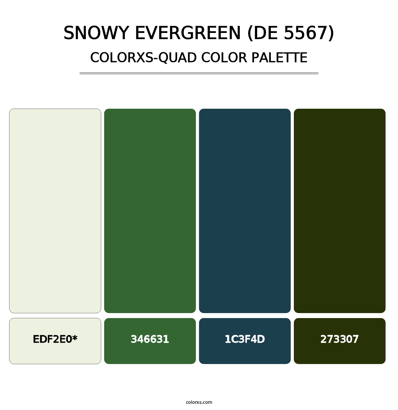 Snowy Evergreen (DE 5567) - Colorxs Quad Palette