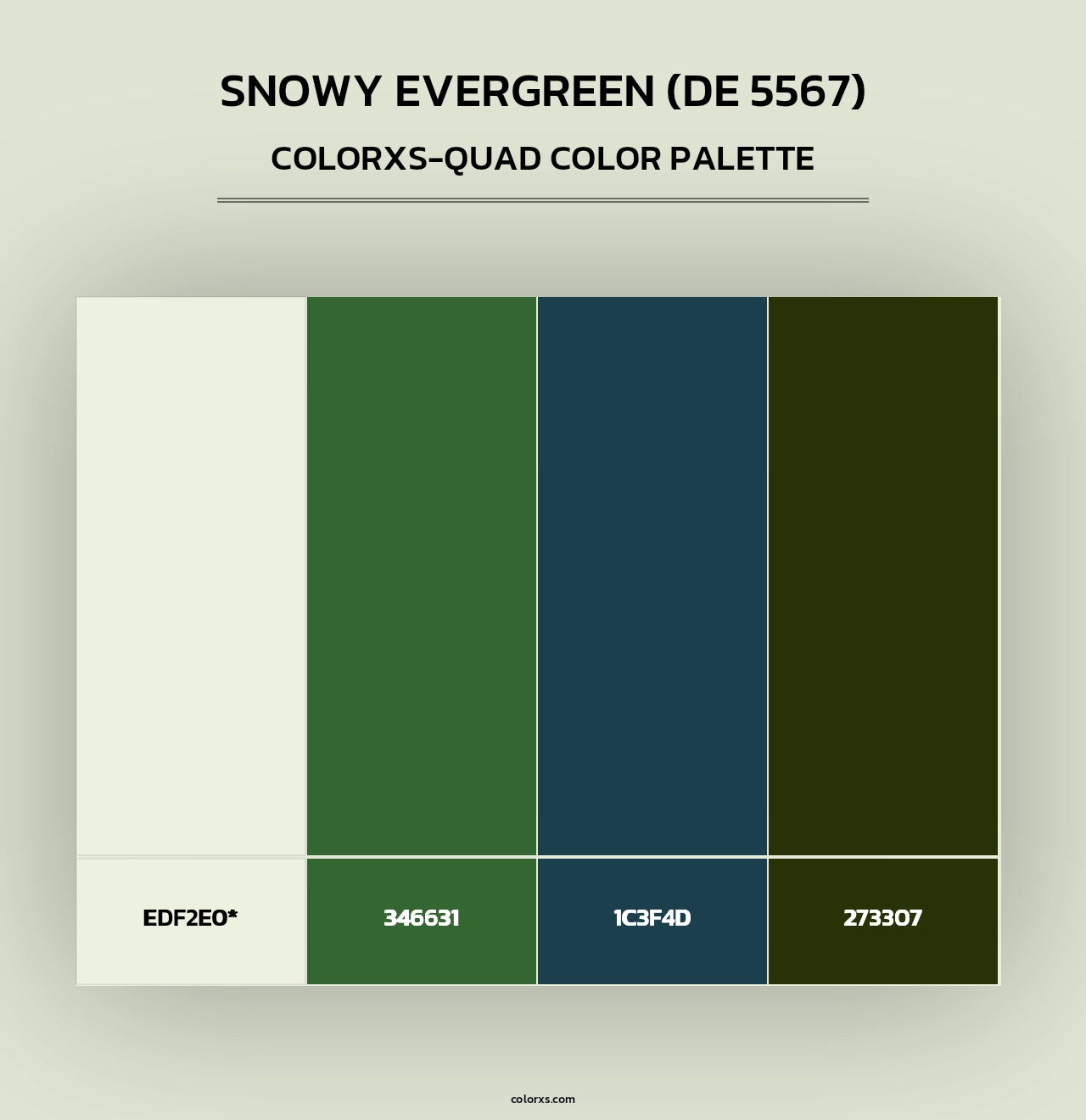 Snowy Evergreen (DE 5567) - Colorxs Quad Palette