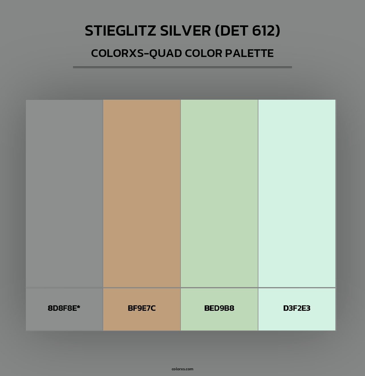 Stieglitz Silver (DET 612) - Colorxs Quad Palette
