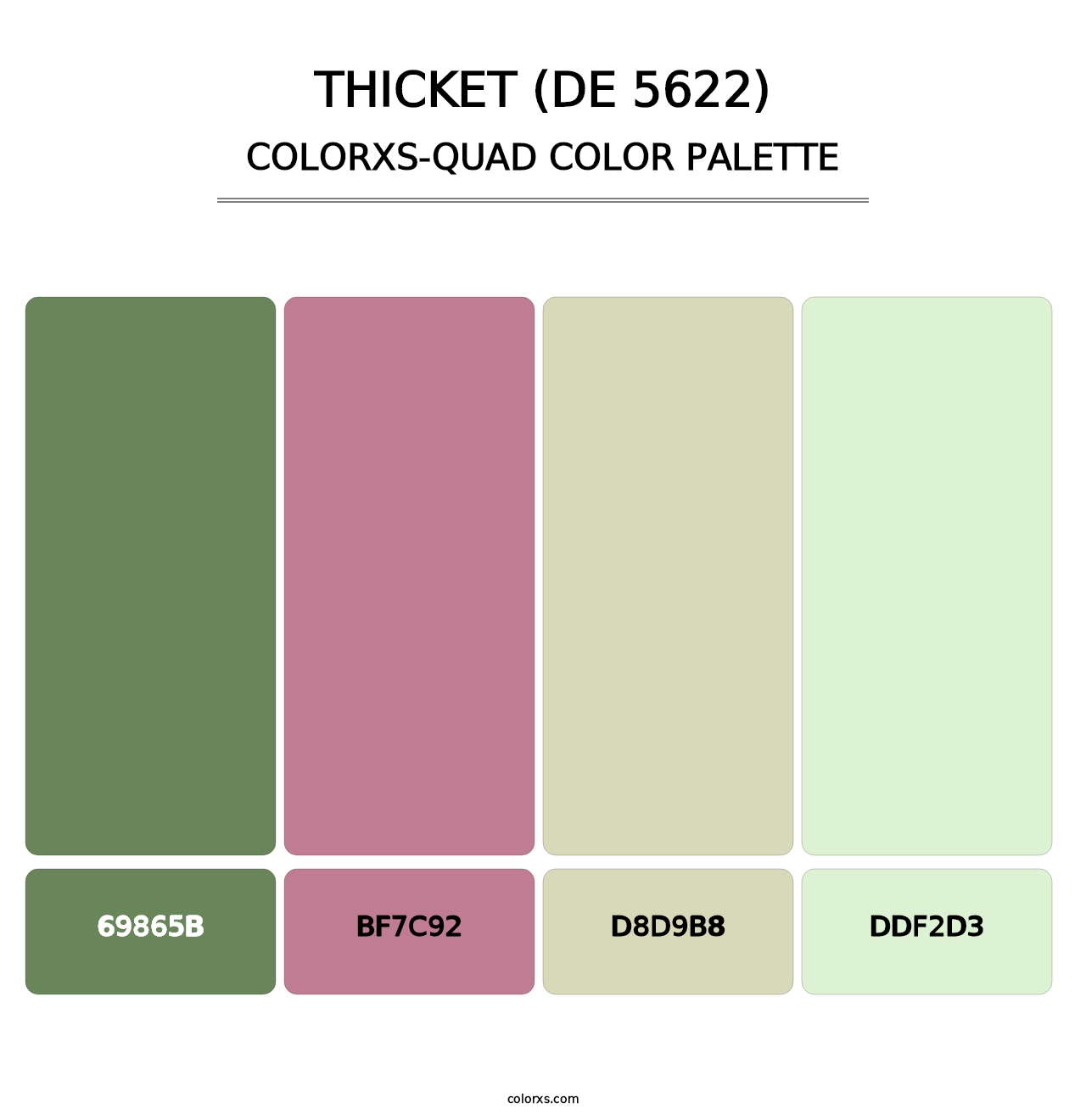 Thicket (DE 5622) - Colorxs Quad Palette
