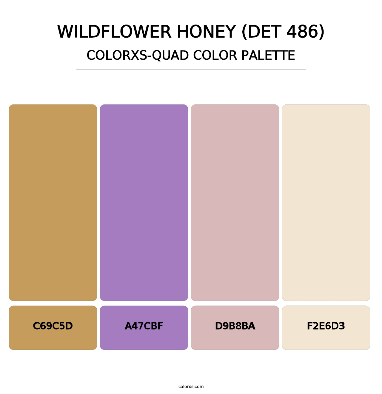 Wildflower Honey (DET 486) - Colorxs Quad Palette