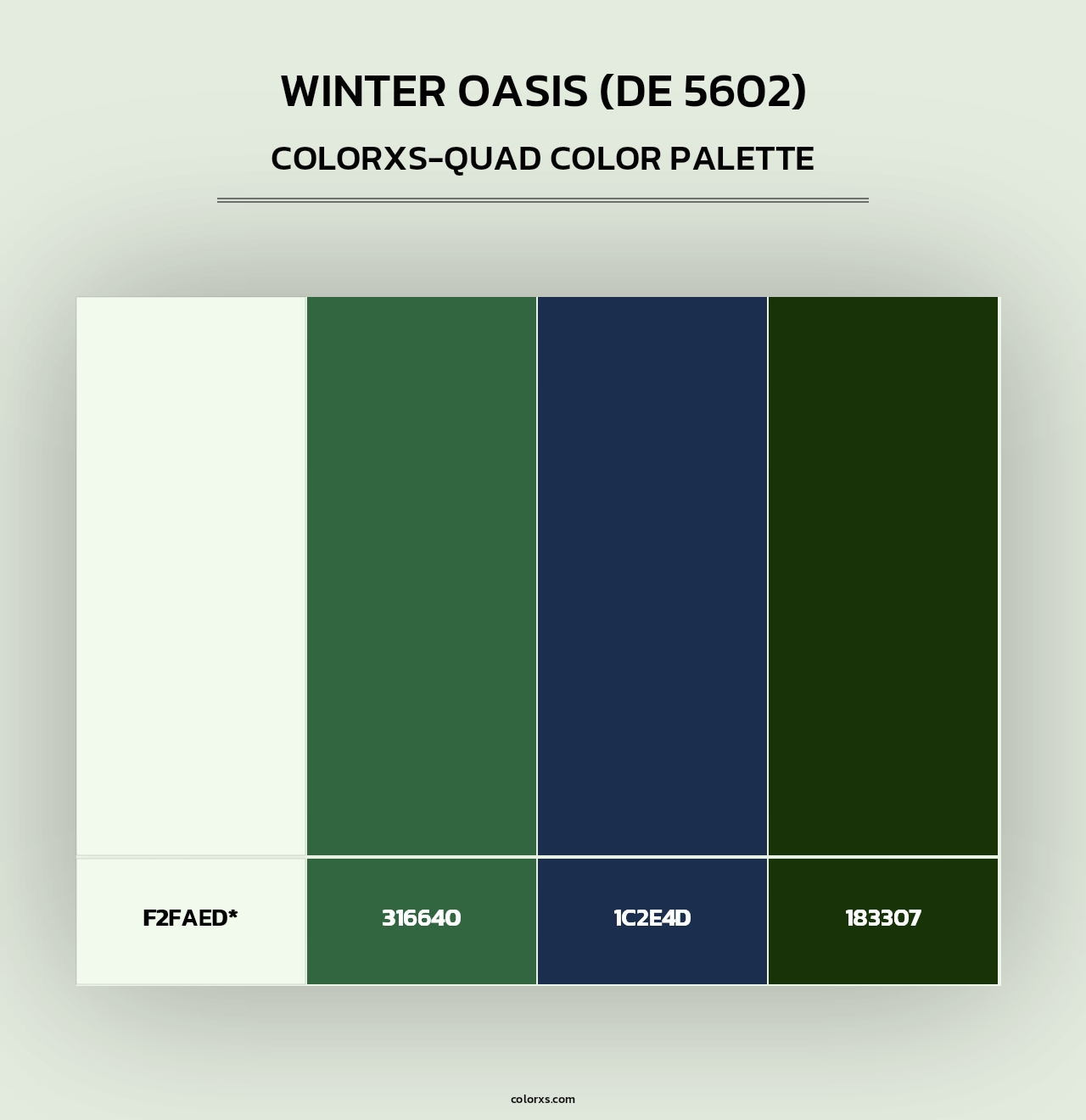 Winter Oasis (DE 5602) - Colorxs Quad Palette