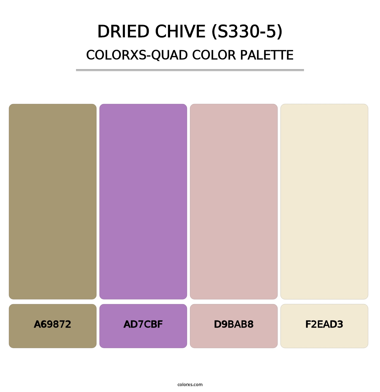 Dried Chive (S330-5) - Colorxs Quad Palette