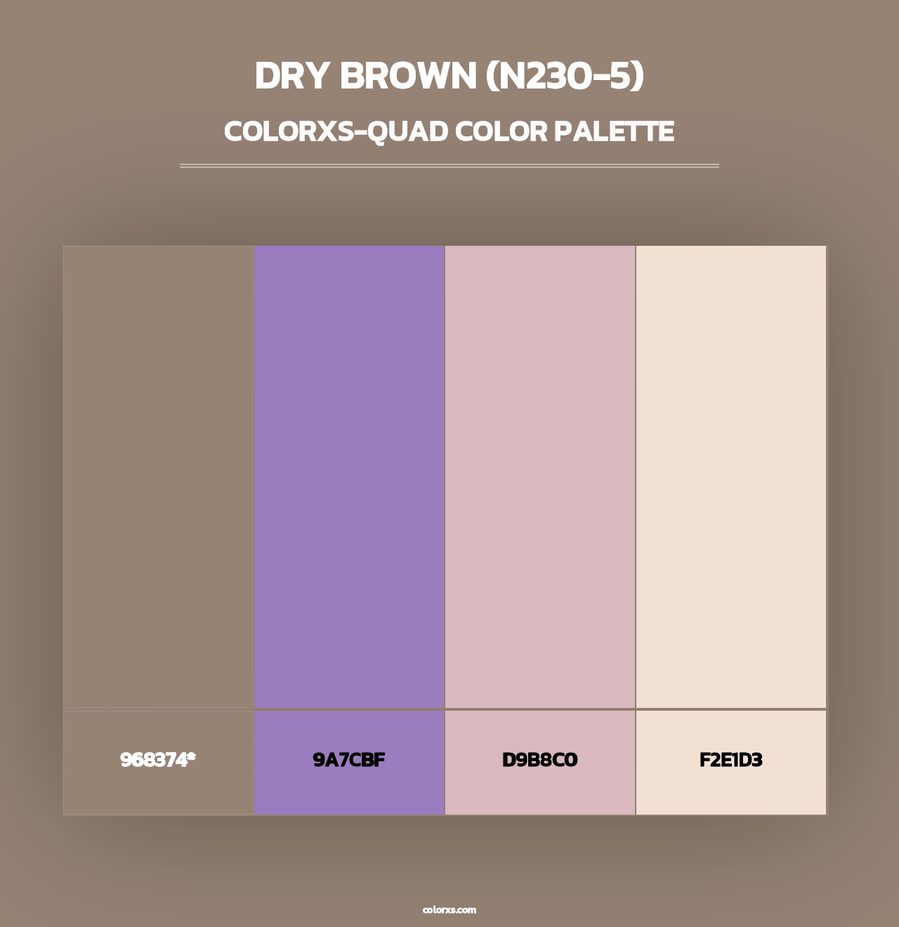 Dry Brown (N230-5) - Colorxs Quad Palette