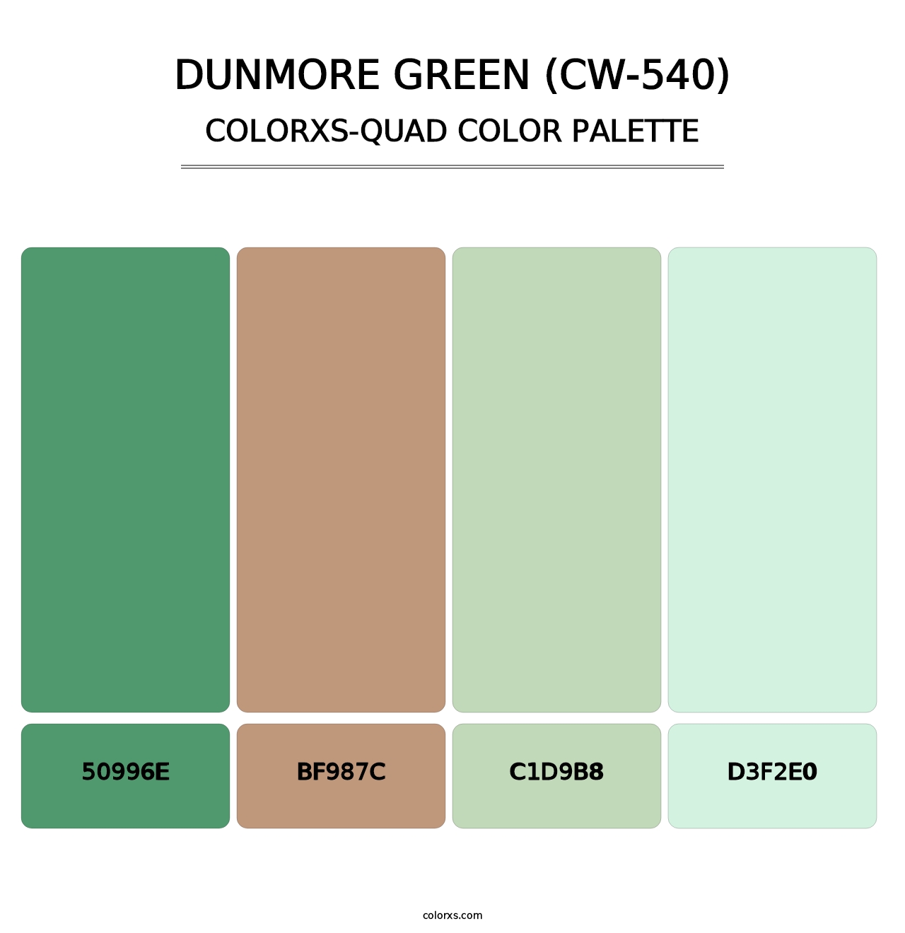 Dunmore Green (CW-540) - Colorxs Quad Palette