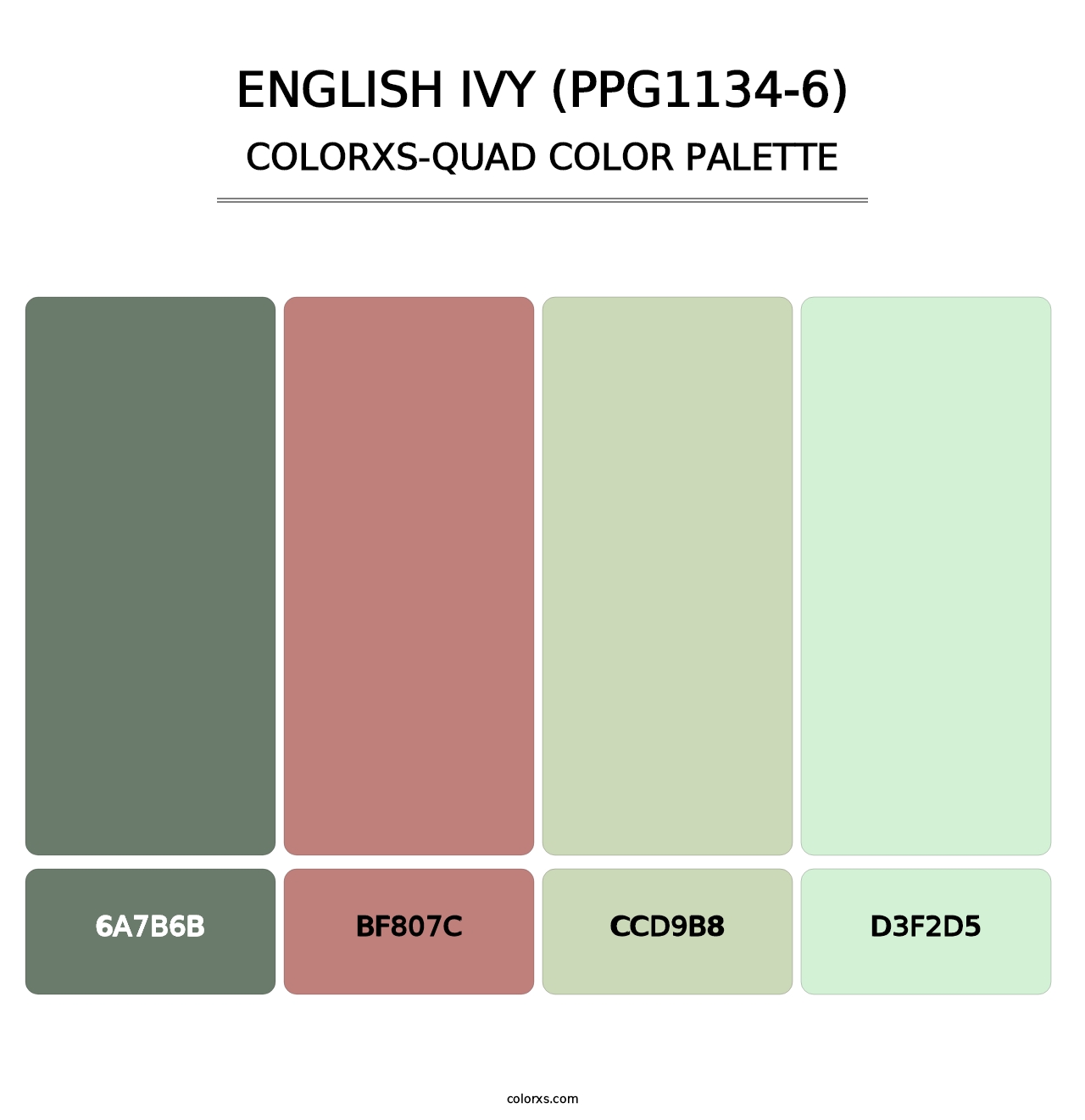 English Ivy (PPG1134-6) - Colorxs Quad Palette