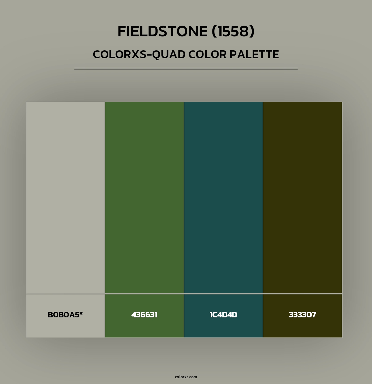 Fieldstone (1558) - Colorxs Quad Palette