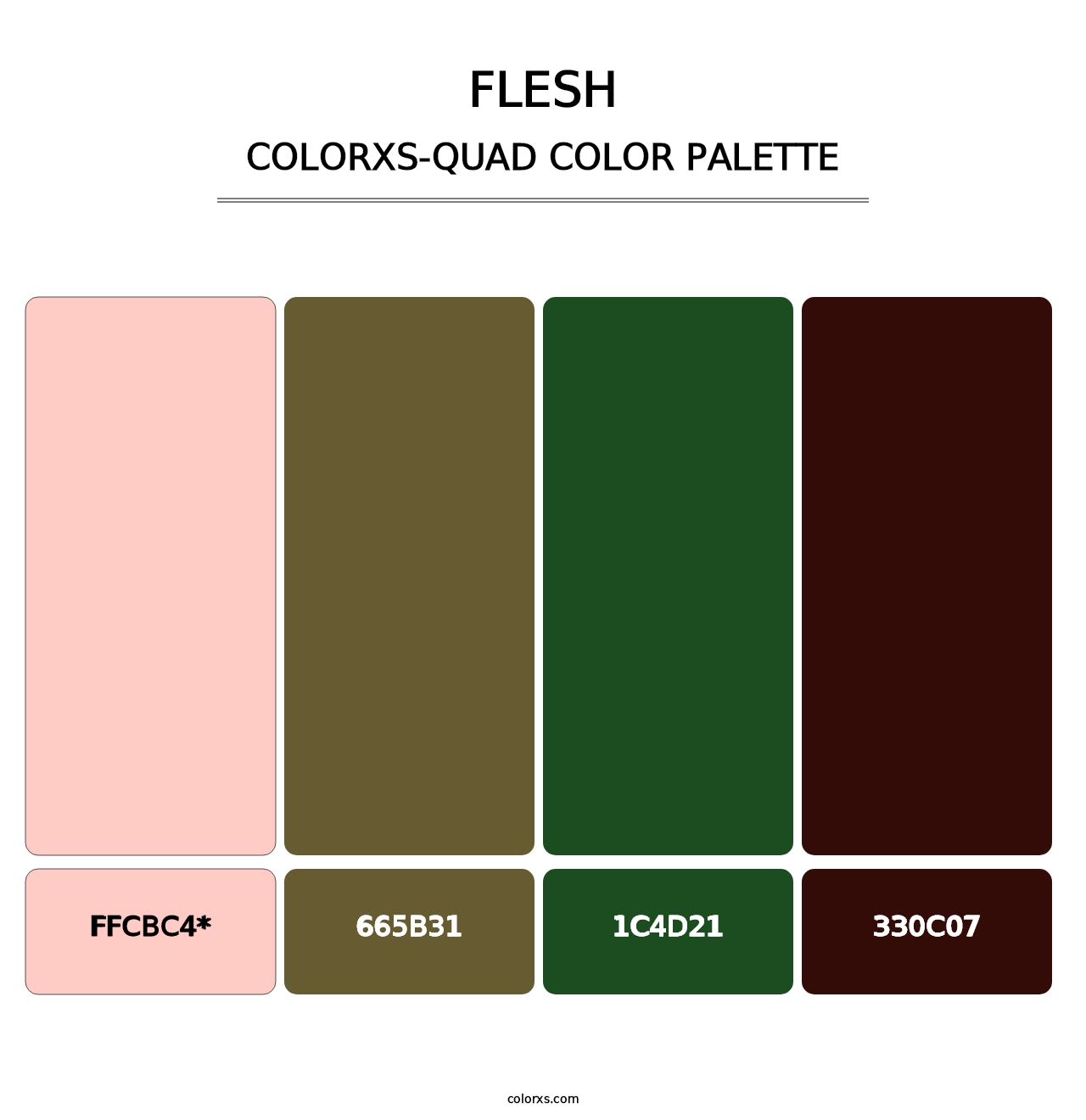 Flesh - Colorxs Quad Palette