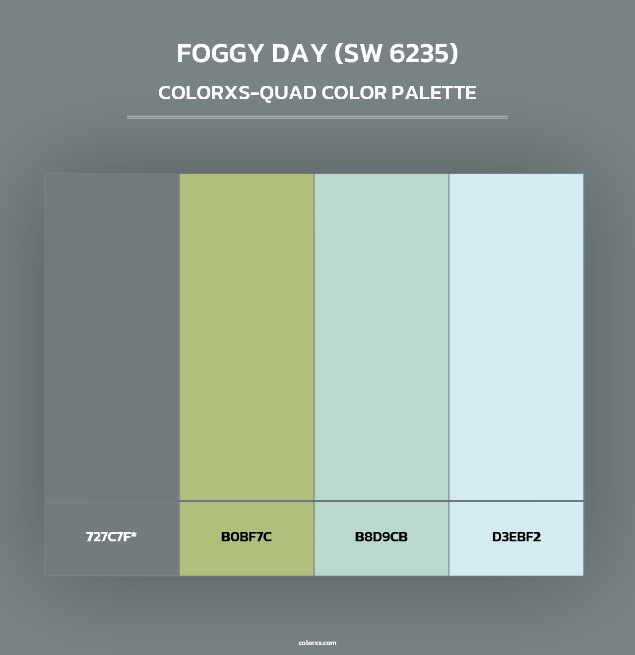 Foggy Day (SW 6235) - Colorxs Quad Palette