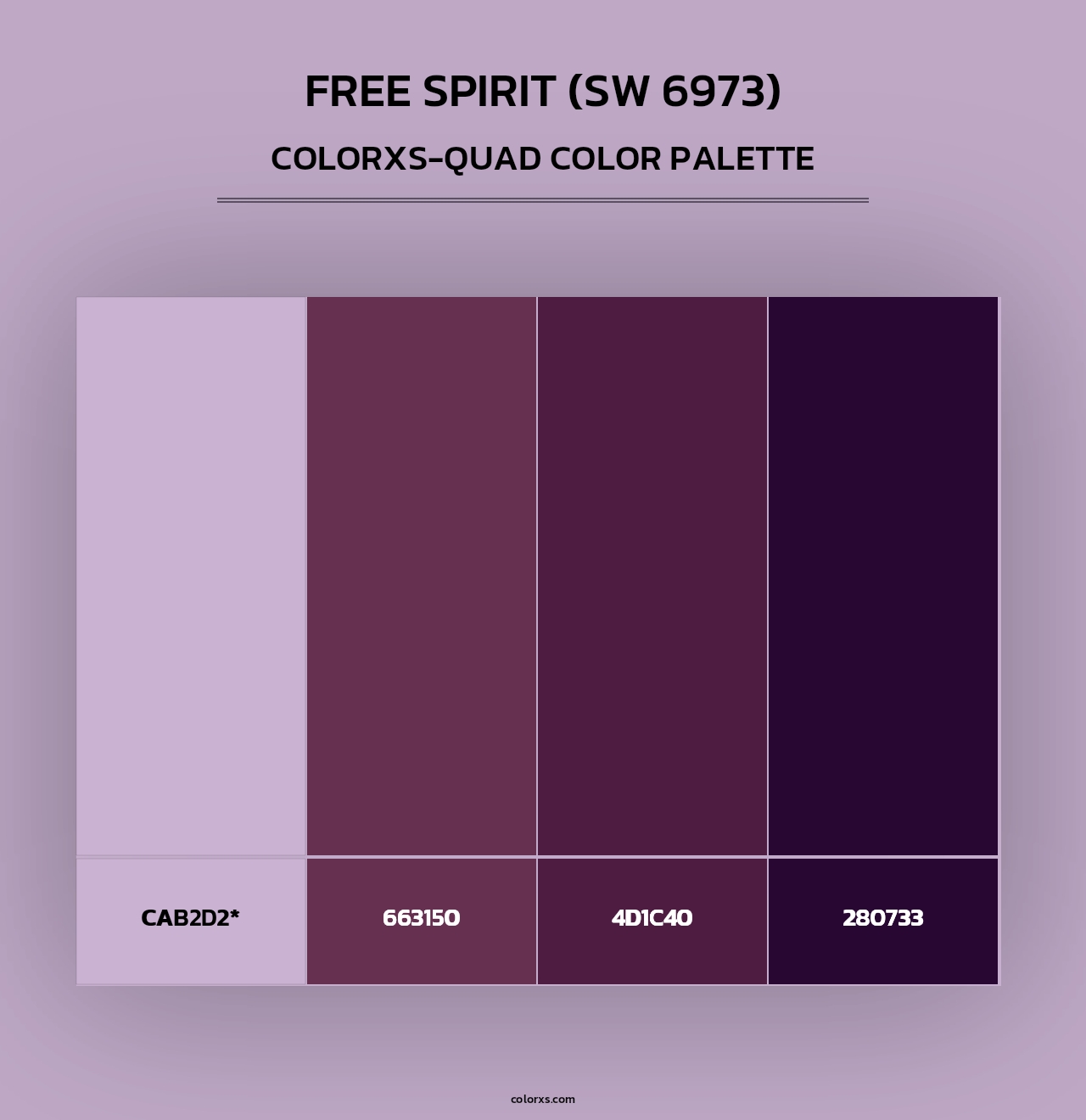 Free Spirit (SW 6973) - Colorxs Quad Palette