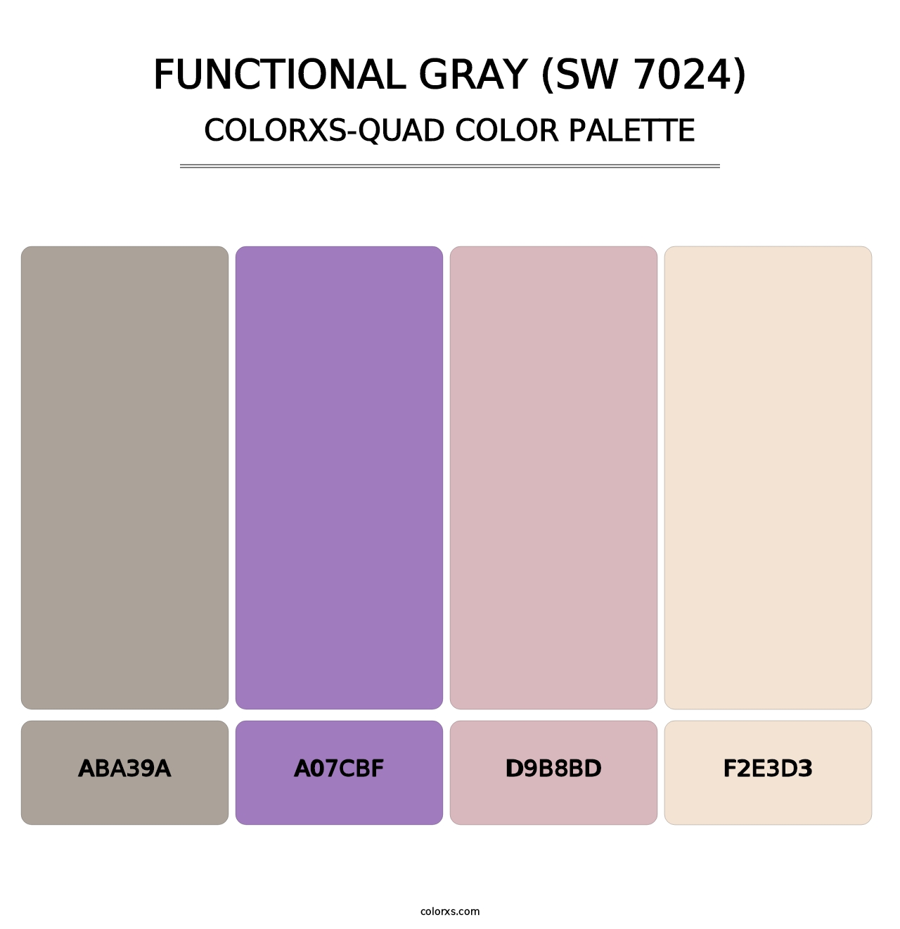 Functional Gray (SW 7024) - Colorxs Quad Palette