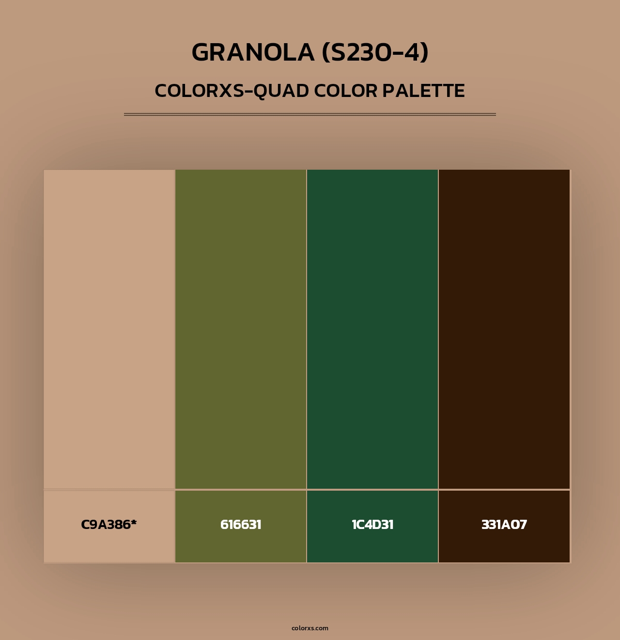 Granola (S230-4) - Colorxs Quad Palette