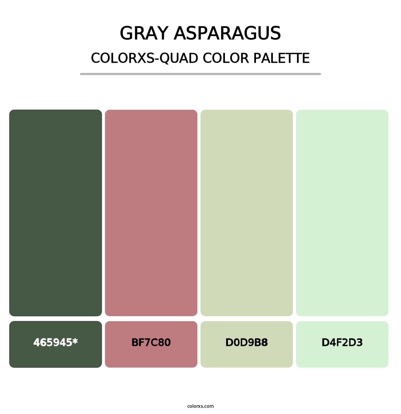 Gray Asparagus - Colorxs Quad Palette