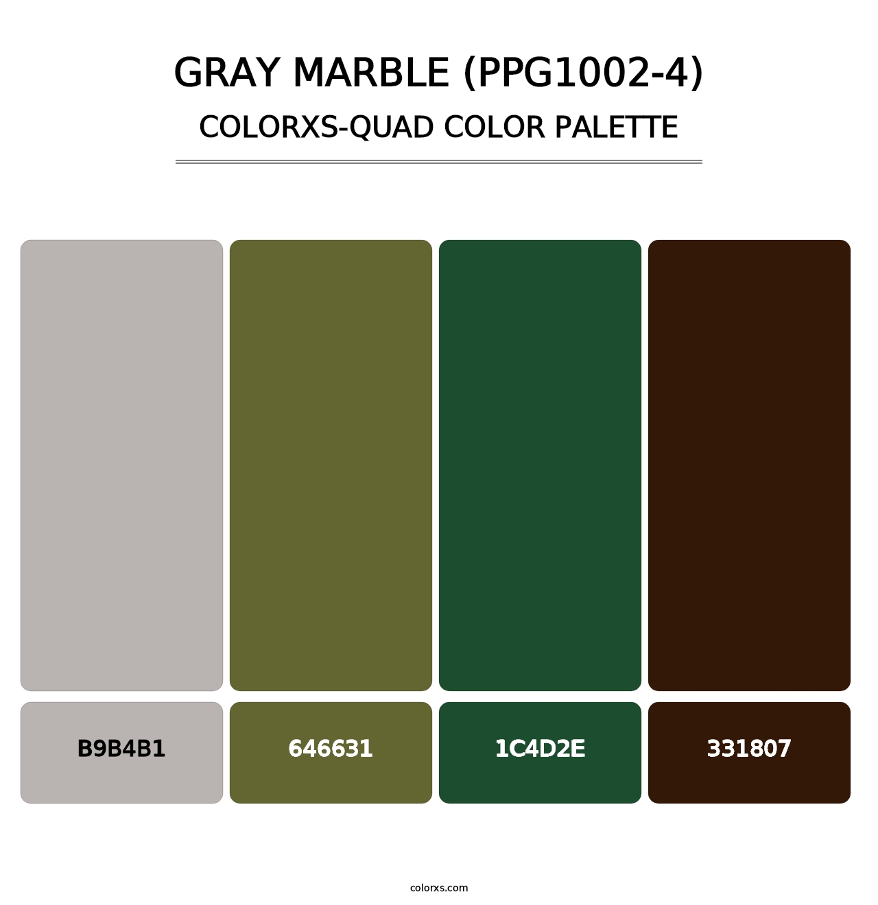 Gray Marble (PPG1002-4) - Colorxs Quad Palette