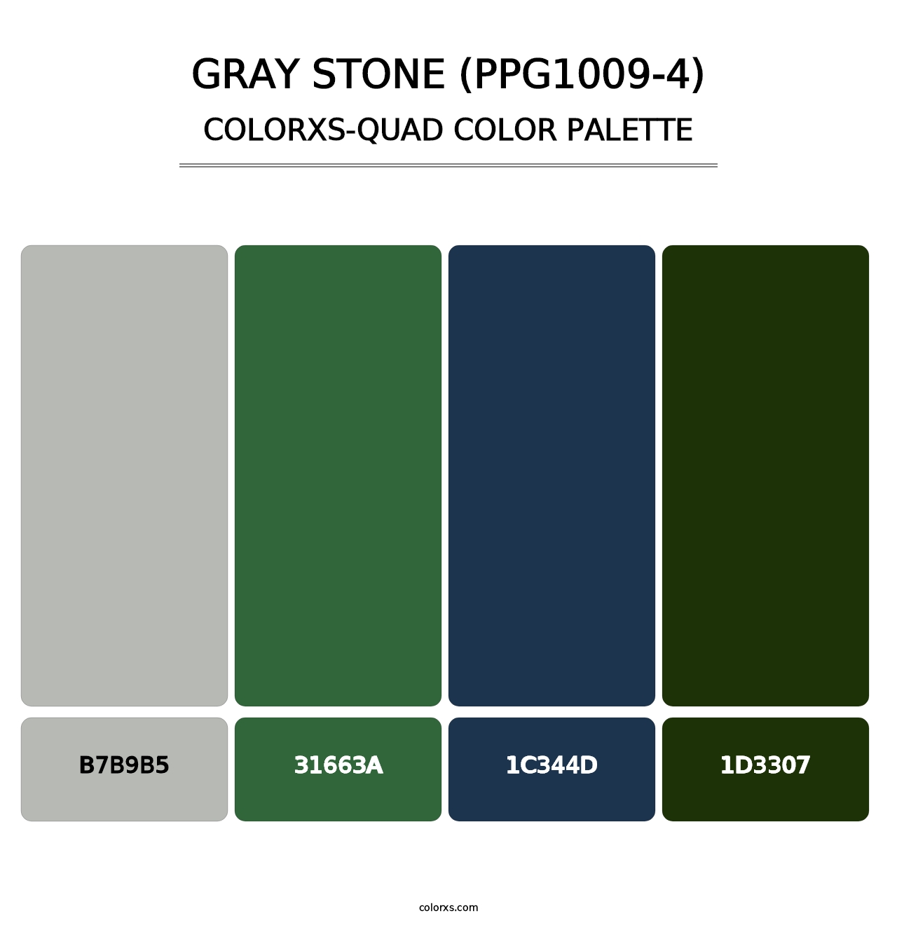 Gray Stone (PPG1009-4) - Colorxs Quad Palette