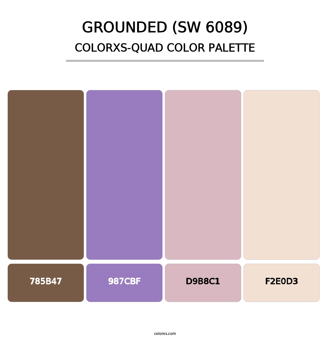 Grounded (SW 6089) - Colorxs Quad Palette