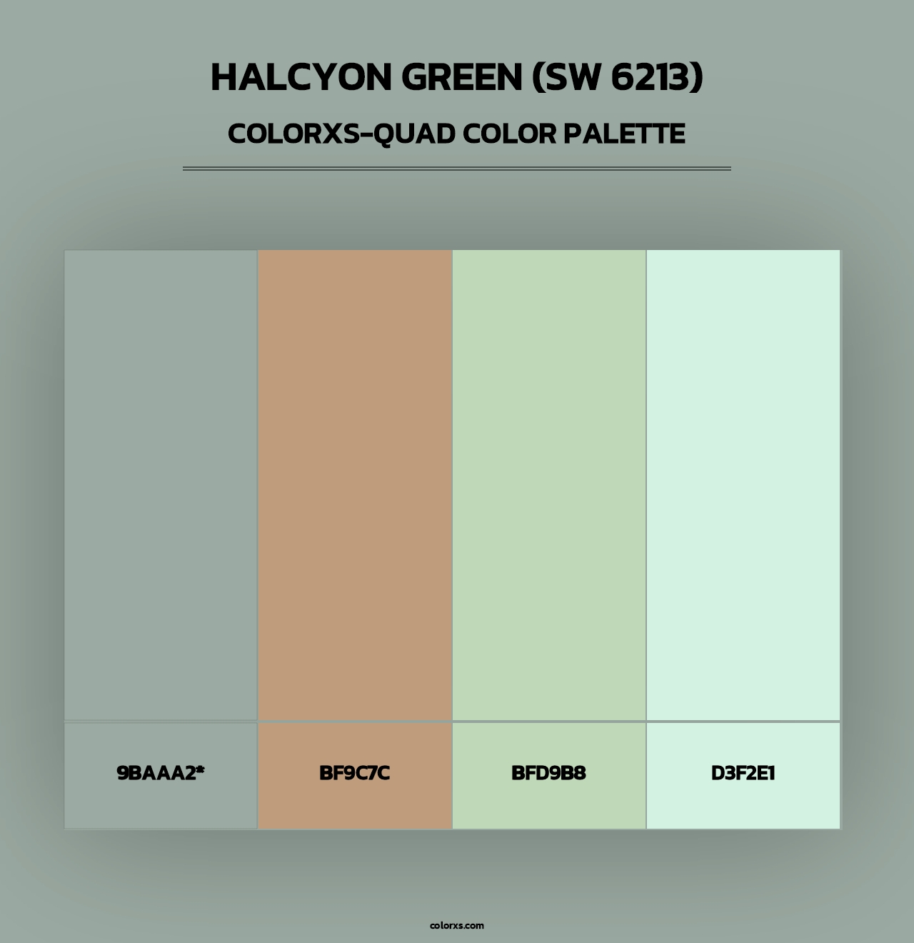 Halcyon Green (SW 6213) - Colorxs Quad Palette